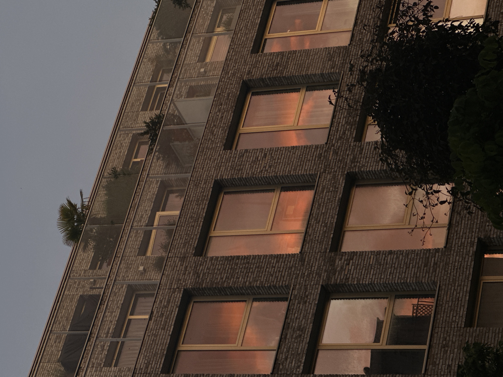The image depicts a section of a modern building in Amsterdam, Netherlands, characterized by its textured facade with embedded rectangular windows reflecting a warm, orange light. The building's exterior appears to be made of a rough, brown brick-like material. Some balconies are visible on the left side of the building, with vegetation growing on them. A large, leafy tree or bush is present on the right side of the frame, partially obscuring some of the windows. The sky in the background is a pale, grayish color.