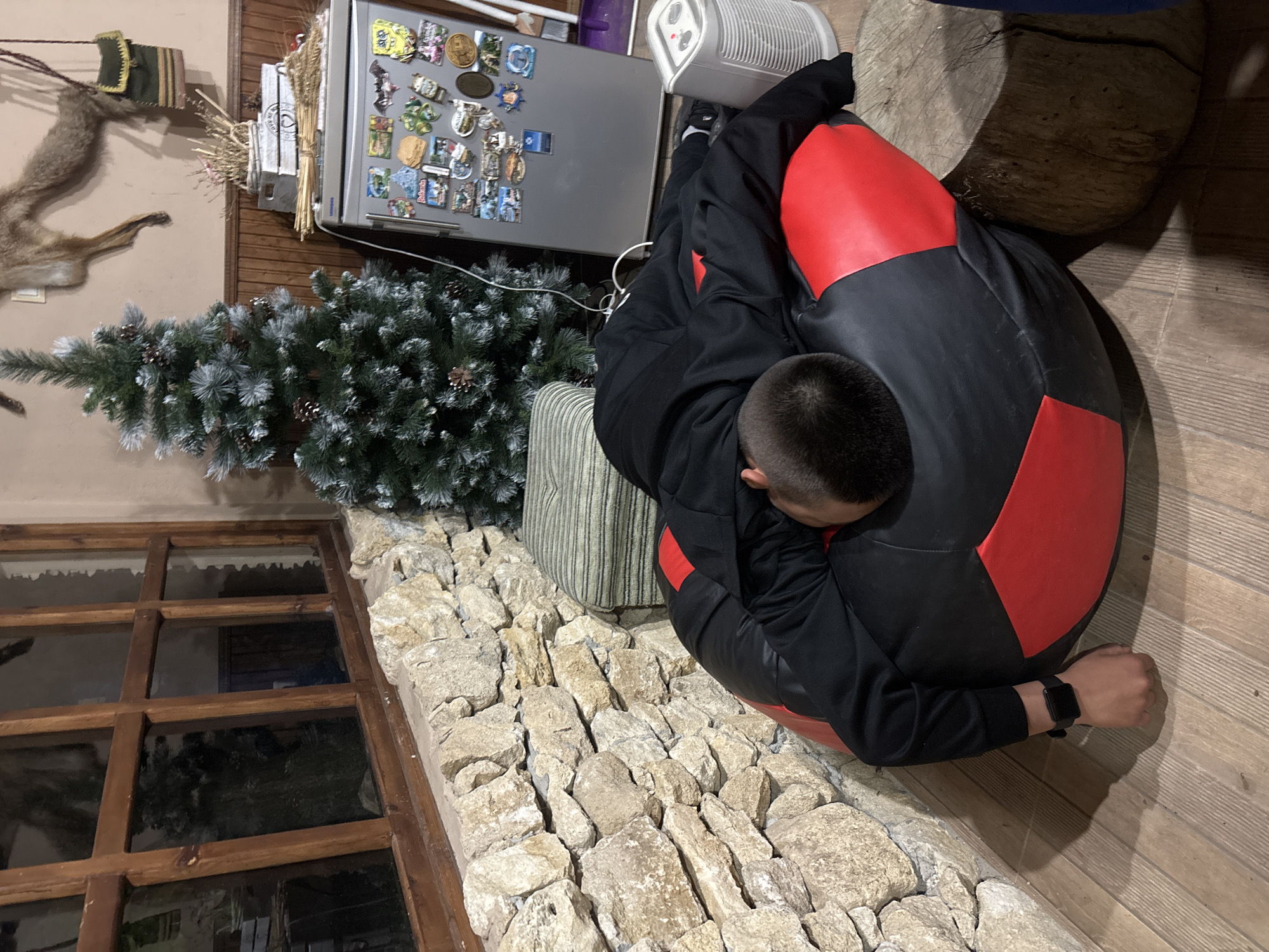 A person is curled up in a black and red beanbag chair indoors, next to a window with a stone ledge. The room also contains a Christmas tree, a refrigerator covered in magnets, and a stuffed animal hanging on the wall. The location is identified as Goritsa, Bulgaria.