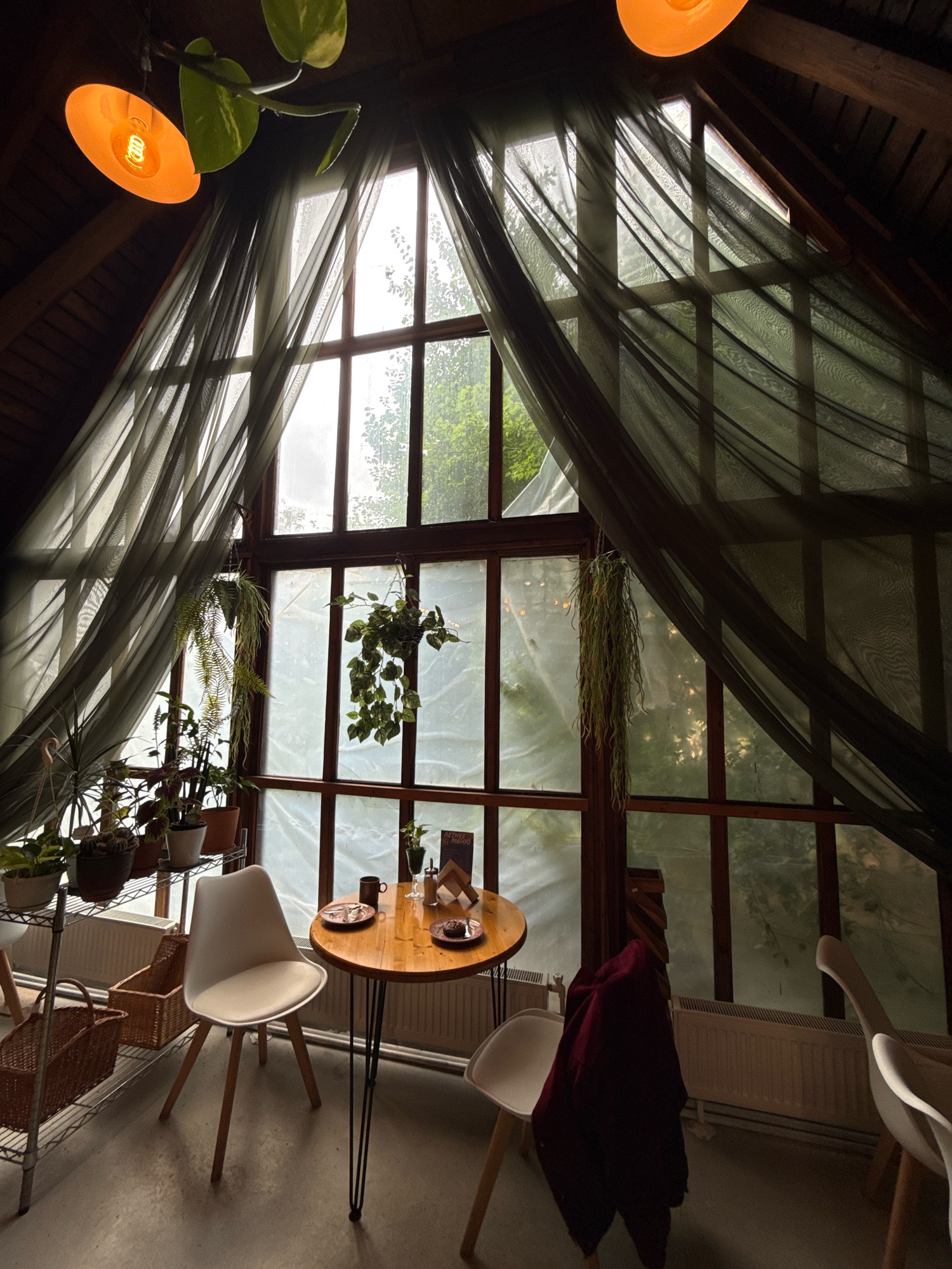 This is an interior shot of a room with a sloped wooden ceiling, large windows, and numerous hanging plants. A warm orange light emanates from a pendant lamp. Sheer dark green curtains are draped across the windows. In the foreground, a small round wooden table with hairpin legs is set with two plates, a cup, and a sugar dispenser. Two white chairs are positioned at the table, with a maroon jacket draped over one of them. A metal shelving unit filled with potted plants and wicker baskets is to the left. The windows look out onto a leafy, outdoor environment, suggesting a location with greenery. The overall ambiance is cozy and natural. This scene appears to be from a cafe in Svetlogorsk, Russia, likely designed to mimic a greenhouse or conservatory.