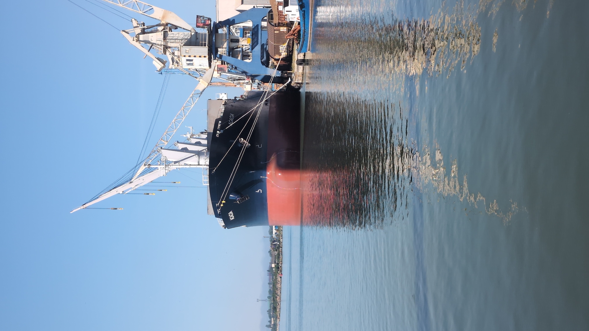 The image shows a large cargo ship named "ACACIA" docked at a port. The ship is painted black on its upper hull and red on its lower hull. Two large cranes are visible, one white and one blue, positioned near the ship, suggesting loading or unloading operations. In the background, there is a cityscape with buildings and industrial structures, and beyond that, a clear blue sky. The scene is set at the port of Burgas, Bulgaria, with the water in the foreground reflecting the ship and the cranes. There are no people visible in the image.