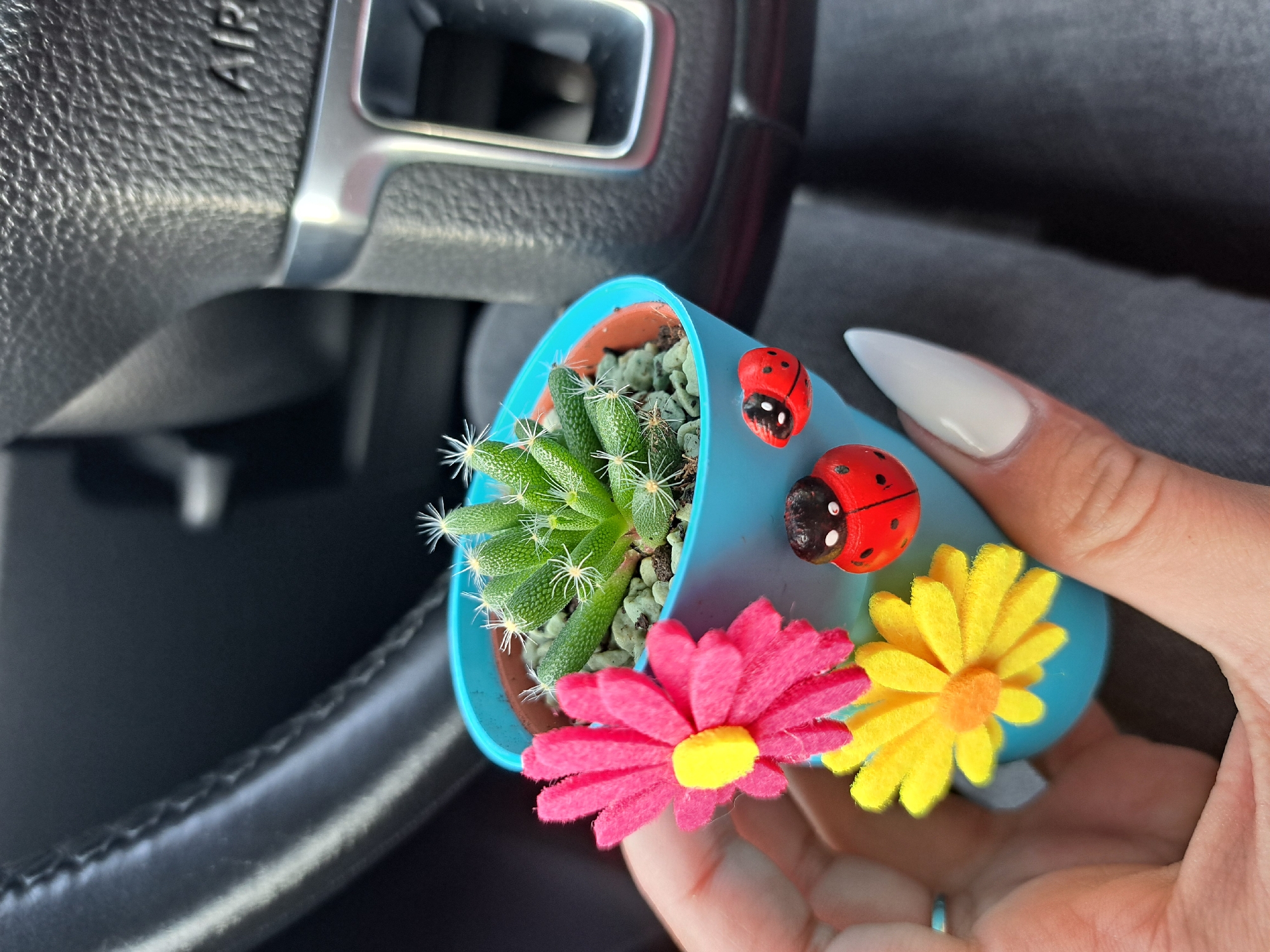 The image displays a close-up shot of a person's hand holding a small, decorative potted succulent or cactus inside a car. The hand, featuring a long, pointed, light-colored fingernail on the index finger and a subtle light blue ring on another digit, holds a vibrant light blue pot.
Inside the pot, a green succulent or cactus with numerous small, cylindrical segments, each adorned with fine white, star-like spines, thrives in a bed of small grey pebbles. The exterior of the blue pot is creatively decorated with two miniature red ladybug figurines and two cheerful felt flowers: one bright pink with a yellow center, and another yellow with an orange center.
In the blurred background, the black, textured material of a car's steering wheel is prominent, along with a metallic accent and the partially visible text "AIR," likely part of "AIRBAG." The overall setting is the interior of a vehicle, suggesting the plant is either being transported or presented. The image does not provide specific cues for time of day or weather. The activity shown is the holding or displaying of this small, decorative plant. According to the provided context, the location is Sofia, Bulgaria.