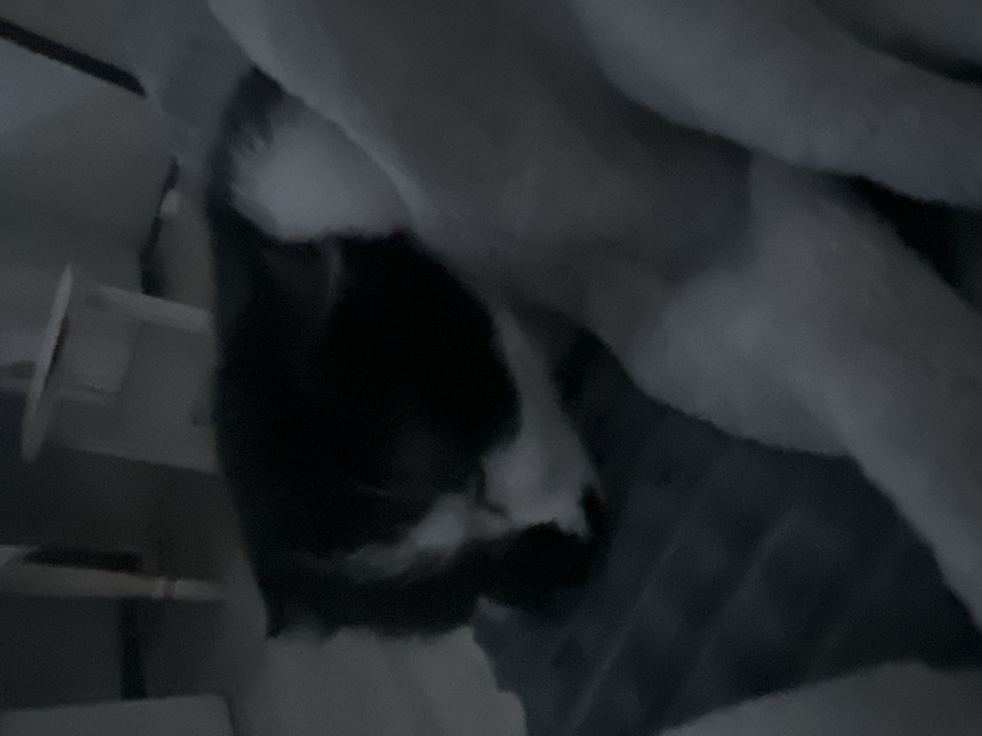 The image shows a black and white husky dog lying down on a dark surface. The dog's head is visible, with its eyes closed. The lighting is dim, and the background is blurred. There is no discernible location in Ulan-Ude, Russia, or any other city. The scene is static, with no ongoing actions or interactions. The overall impression is one of a pet resting in a dimly lit indoor setting.