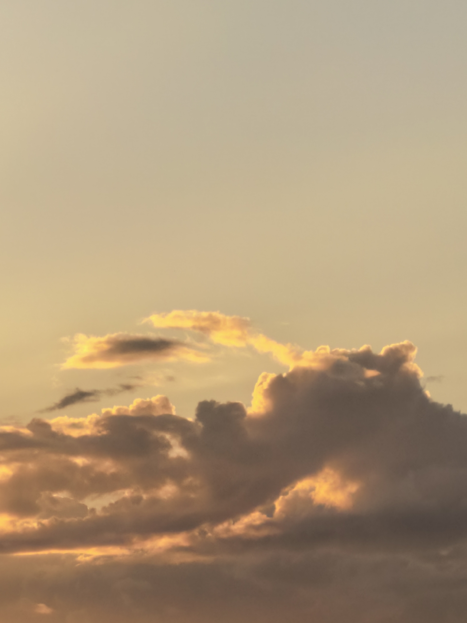 This is a vertical, eye-level, medium shot photograph of a sunset sky. The upper portion of the frame is a pale, gradient yellow, transitioning to a warmer, more saturated orange closer to the horizon. A cluster of clouds dominates the lower half of the image, illuminated by the setting sun. Some clouds are dark and shadowed, while others are brightly lit with fiery orange and yellow hues, creating a dramatic contrast. The clouds are varied in shape and texture, with some appearing soft and wispy, and others more dense and voluminous. The overall impression is one of natural beauty and the captivating spectacle of a sunset. The image is devoid of any human presence or man-made structures, focusing solely on the atmospheric display.