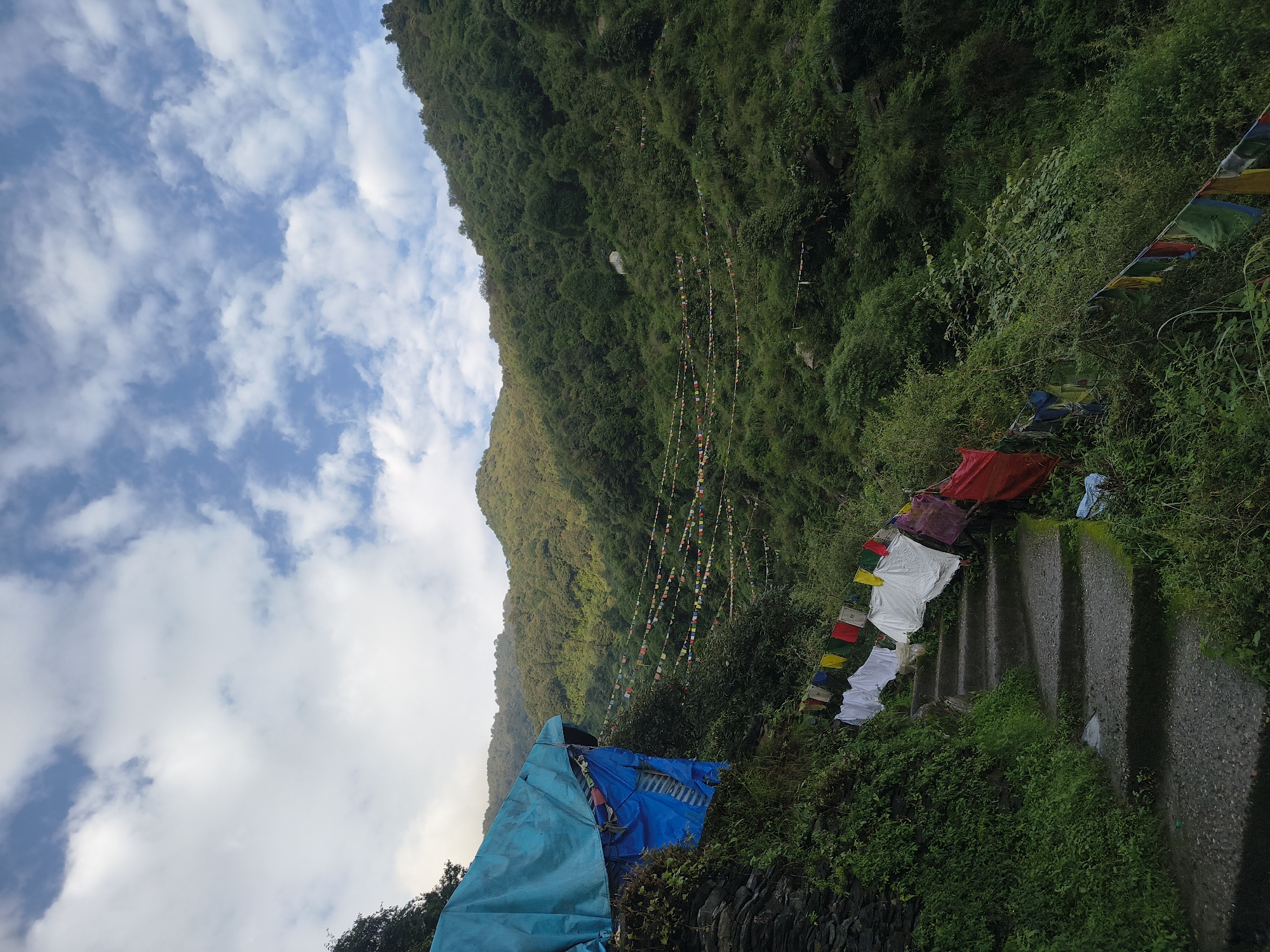 The image depicts a steep, stone stairway winding through a lush, green mountainside in Bhagsu, India. The stairs are flanked by dense vegetation and a rough stone wall on the left, which supports a makeshift structure covered in a blue tarp. Laundry, primarily white shirts and colorful fabrics, hangs drying on a line stretched along the stairs, adjacent to prayer flags strung across the mountainside. The prayer flags, in a variety of colors, are suspended in multiple lines, stretching across the verdant slope and disappearing into the foliage. The mountainside is covered in thick trees and shrubs, with a few scattered buildings or structures visible in the distance on the higher slopes. The sky above is a mix of blue and white clouds, suggesting an overcast but bright day. The scene conveys a sense of rural mountain life, with elements of spirituality and domesticity intertwined.