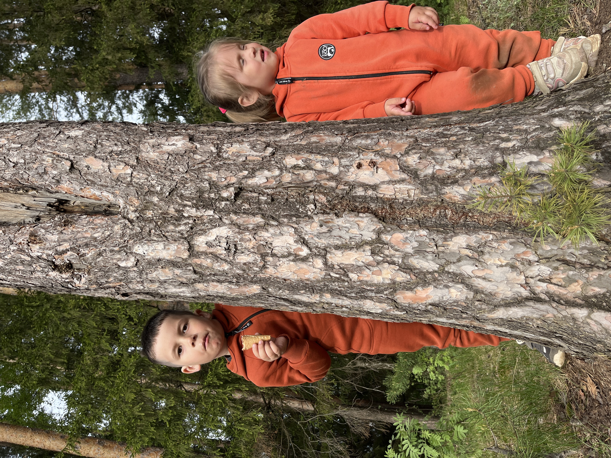Two children, a girl and a boy, are positioned on either side of a large tree trunk. The girl is lying down on the upper side of the trunk, while the boy is below, holding and eating a rectangular snack. Both children are wearing orange, full-body outfits. The background consists of a forest with tall trees. The location is inferred to be in the city of Chaikovsky, Russia.