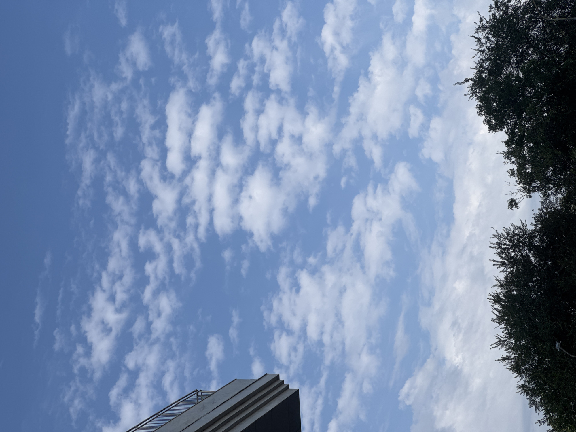 The image shows a cloudy blue sky with scattered cumulus clouds. In the lower part of the frame, the dark green canopy of trees is visible, with a street lamp on the left. In the upper left corner, a concrete structure with a metal railing, likely part of a building or bridge, is partially visible against the sky. The scene is outdoors with no people present. The location is Almaty, Kazakhstan.