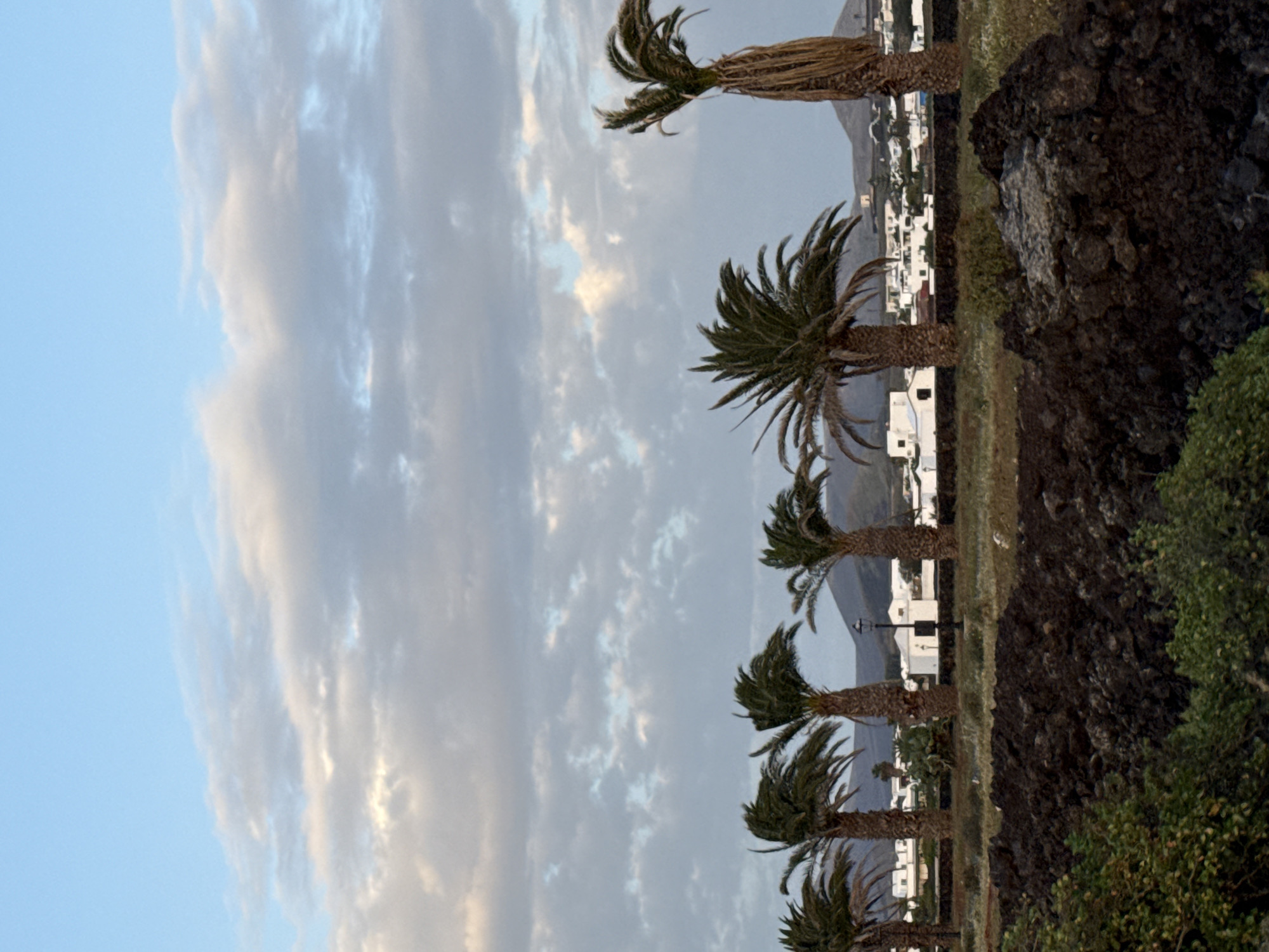 The image shows a row of palm trees along a coastline. A mountain range is faintly visible in the background, along with white buildings, indicative of a Spanish village. A rocky terrain is present in the foreground with vegetation. The sky is covered with clouds with a blue hue. The palm trees, the white buildings, and the rocky terrain suggest the location to be Yaiza, Spain.