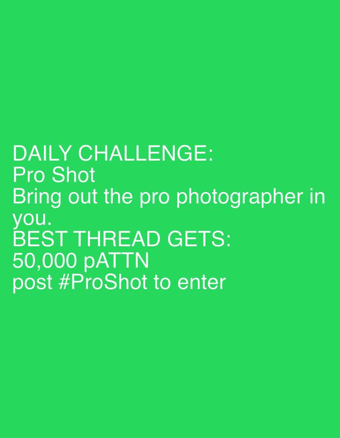 The image is a screenshot of a social media post against a solid bright green background. The text is in white and is left-aligned. The post announces a "DAILY CHALLENGE: Pro Shot" and encourages users to "Bring out the pro photographer in you." It further states that the "BEST THREAD GETS 50,000 pATTN" and instructs users to "post #ProShot to enter." The image does not depict any specific location in a city.