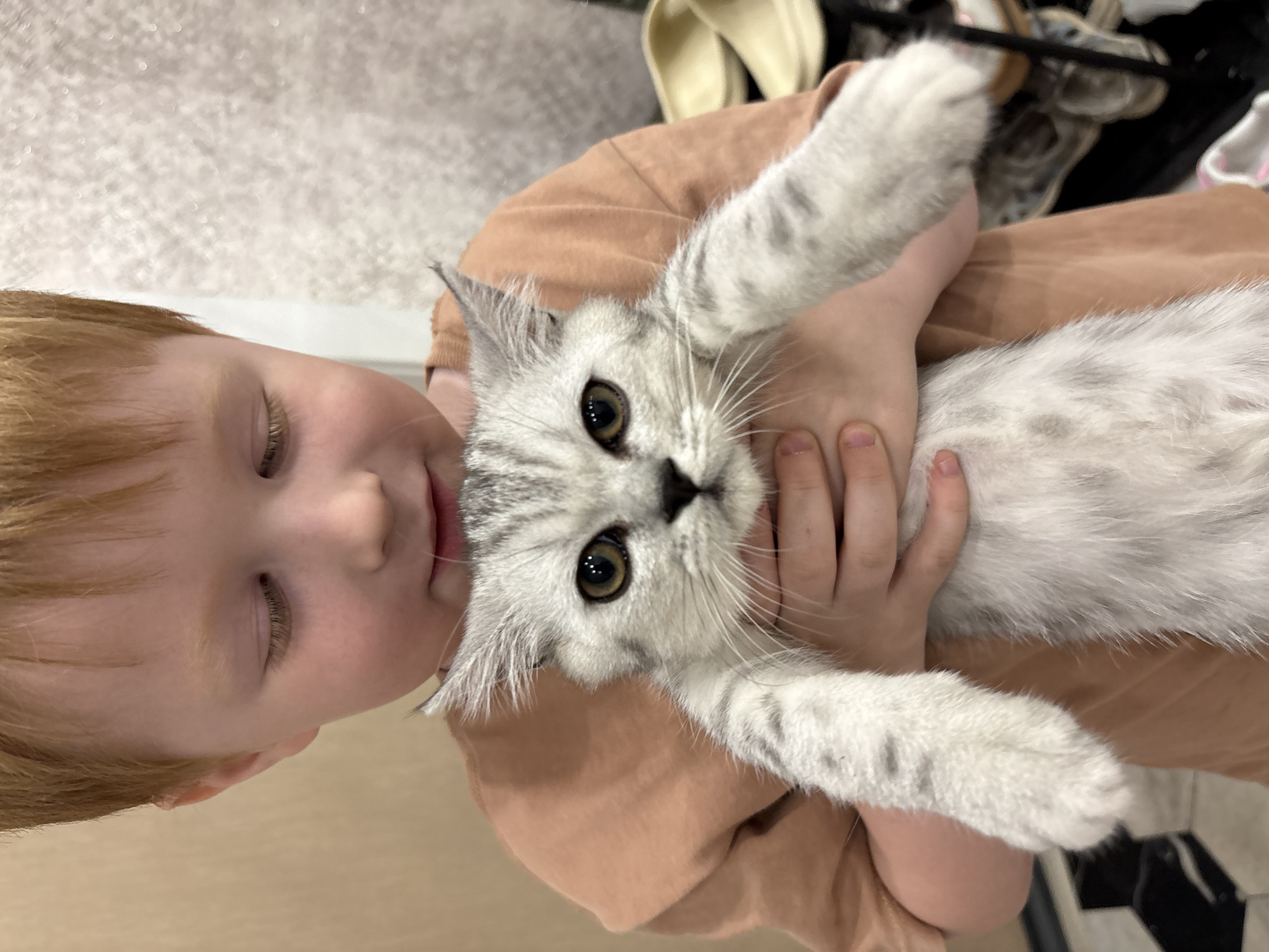A young child with reddish-blond hair, wearing a brown t-shirt, is holding a grey and white tabby cat. The cat is facing the camera with its paws extended. The child's eyes are closed. The background is slightly out of focus, showing a white wall and some clothing hanging on a rack. There are no clear indicators in the image to confirm the location is Izhevsk, Russia.