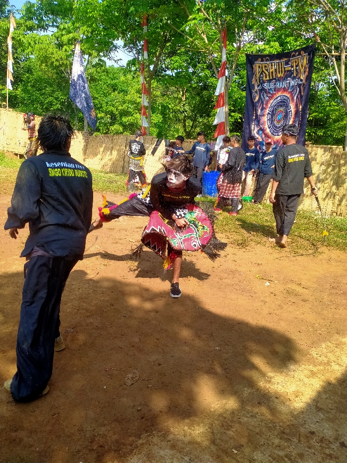 A daytime outdoor scene in Plosorejo, Indonesia, depicts a cultural event or performance on a brown dirt ground. In the mid-ground, a performer is captured in motion, featuring white face paint, dark hair, a black long-sleeved shirt, and a vibrant red, green, and black fringed skirt-like garment. This individual's left leg is extended to the side, and black sneakers are visible. In the foreground left, an individual, seen from behind, wears a black long-sleeved shirt with white text "kesenian reog SAGI KIPIDU HUSORU" and dark pants. To the right, another individual, also viewed from behind, wears a black shirt and dark pants, carrying a whip-like object.
The background features a line of onlookers or participants, primarily wearing black shirts with white designs, some also wearing traditional sarong-like garments. A blue barrel is visible among them. The area is enclosed by a low fence made of horizontal bamboo or light wooden slats. Several tall poles with red and white striped fabric are erected. Two large banners are present: a partially obscured dark banner on the left, and a prominent dark blue banner on the right displaying "PSHW-TM SUB-RANTING" and a circular emblem. Lush green trees form a dense canopy above the scene. Shadows on the ground indicate direct sunlight.
