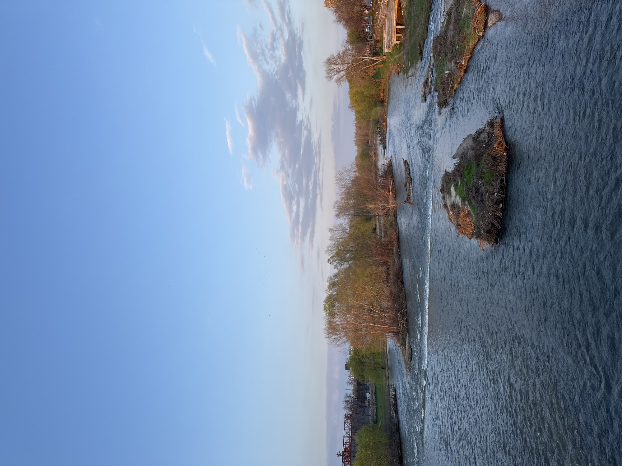 The image displays a section of the Maritsa River in Plovdiv, Bulgaria, under a clear to partly cloudy blue sky, illuminated by warm, low-angle sunlight, indicating either early morning or late afternoon. The river occupies the lower two-thirds of the frame, characterized by dark, flowing water with surface ripples and minor rapids, particularly in the mid-ground. Numerous small, irregular islands are distributed across the river, each covered with exposed earth, sparse green vegetation, and substantial accumulations of tangled brown branches and organic debris.
On the left bank, a red metal truss railway bridge is visible in the upper left background, spanning the river or a canal. Adjacent to and behind the bridge, green-leafed and bare deciduous trees line the bank, with distant urban or industrial structures partially visible. A white vehicle, possibly a van or bus, is faintly discernible behind the trees on the left.
The right bank features a concrete or stone embankment. Above this embankment, a paved area, likely a street or promenade, is lined with deciduous trees, some exhibiting early spring foliage. In the mid-ground on the right bank, a dilapidated concrete structure with visible support pillars extends towards the river. A small flock of approximately seven to ten birds is visible in flight in the upper mid-left portion of the sky. No human figures are discernible in the scene.