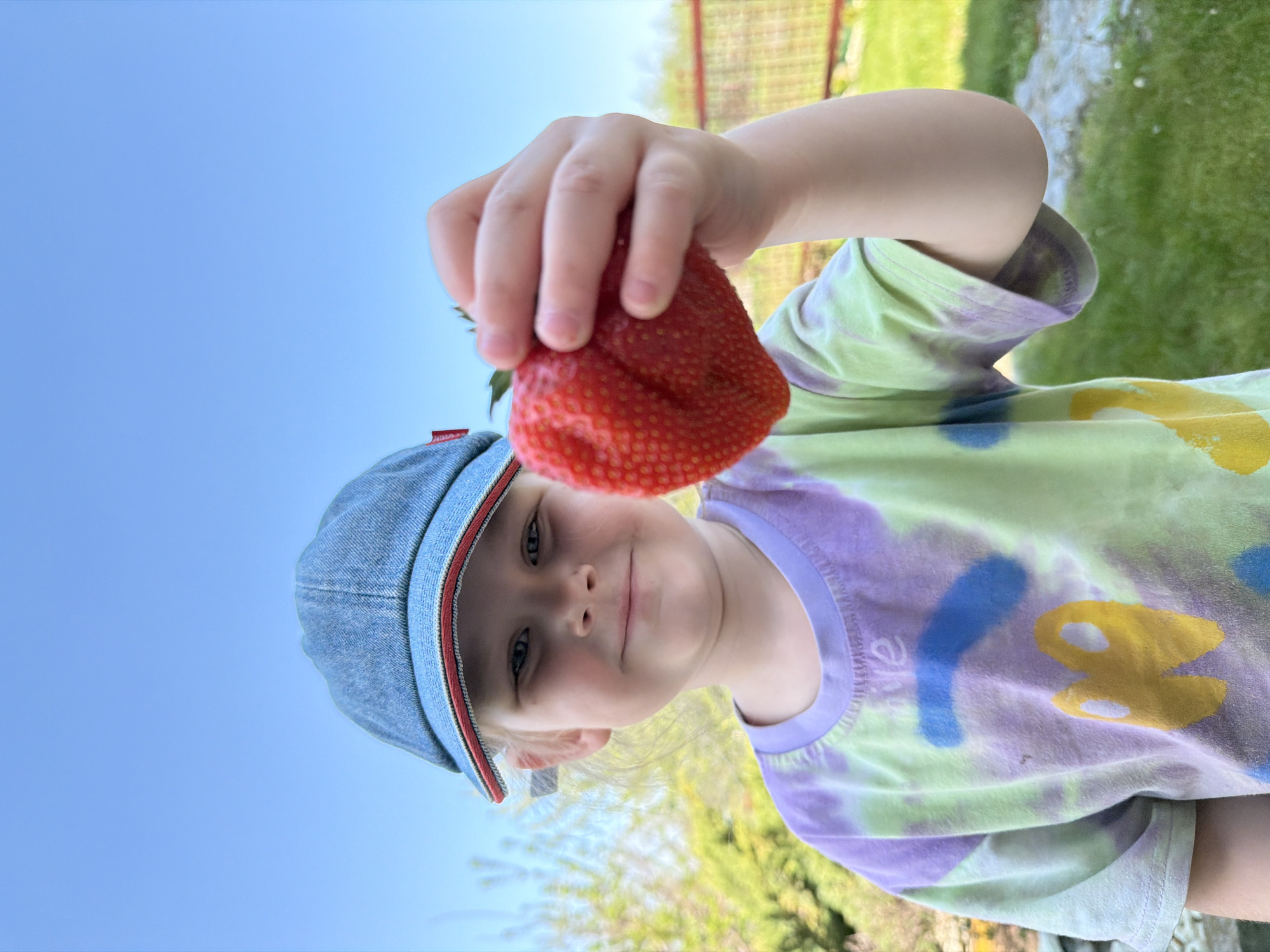 A young child stands outside holding a large strawberry. The child wears a denim baseball cap and a tie-dye shirt with a purple collar and sleeves. The child is holding the strawberry with their right hand, displaying it towards the viewer. The background includes a blue sky, green grass, and some out-of-focus foliage. The location, Kamyshin, Russia, is not discernible from the image alone.