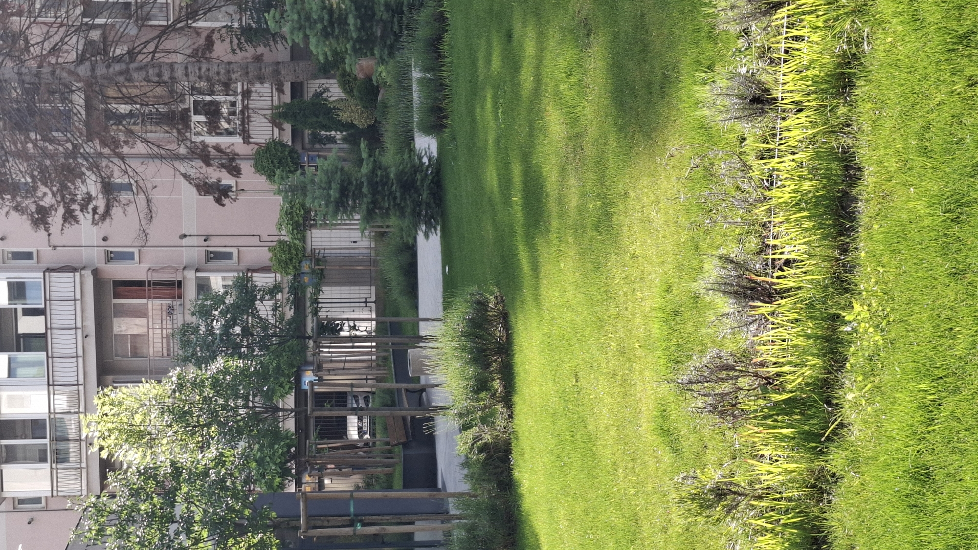 This image, taken in Sofia, Bulgaria, displays a well-maintained urban green space situated alongside a residential building. The scene is dominated by vibrant green grass, stretching across the foreground and middle ground.
In the background, a multi-story residential building with a light pink or beige facade is visible. It features numerous windows, some with white frames, and balconies with railings. A large, bare-branched tree in the upper left partially covers the building's upper floors, while a leafy green tree with full foliage stands in front of the lower left portion of the building. A small blue utility box or meter is attached to the building's facade near this tree.
The green area is intricately landscaped. A light-colored paved pathway snakes through the middle distance, separating sections of the lawn. Along this path and within the grassy expanses, various trees and shrubs are planted. A distinct border of ornamental plants with bright, almost fluorescent, yellow-green foliage is prominent in the right foreground, contrasting with darker green bushes. Near the pathway, several wooden support posts, likely for young trees, and a round, light-colored planter or bin are present.
The scene is bathed in bright sunlight, casting distinct, elongated shadows across the grass, suggesting it is either morning or late afternoon. The weather appears clear and sunny. No people are visible, and no specific activity is taking place, presenting a peaceful and tidy urban environment. There is no visible text or signage within the image.