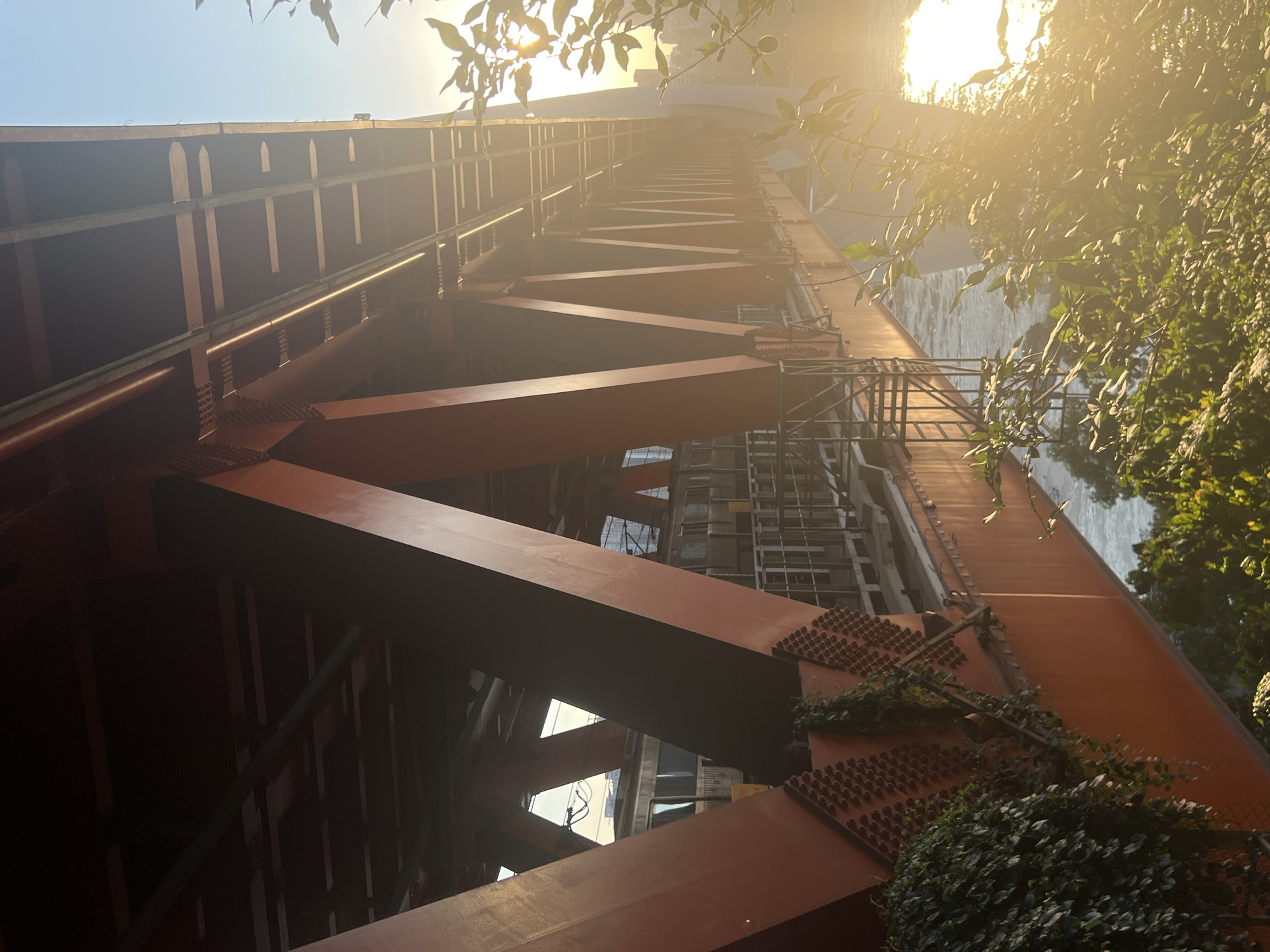 This image depicts a close-up, low-angle view of the underside of a large, orange-red steel bridge structure, possibly under construction or undergoing maintenance. The bridge is characterized by its robust, geometric design, featuring massive I-beams and diagonal supports bolted together with intricate patterns of rivets. The scale of the structure is emphasized by the perspective, making it appear immense and imposing.
The scene is bathed in the warm, golden light of either sunrise or sunset, casting long shadows and creating a hazy, atmospheric effect. Sunlight filters through the branches of lush green foliage that hangs into the frame from the top and right side, adding a natural element that contrasts with the industrial nature of the bridge. Some of the greenery is creeping onto the steel structure itself, suggesting a passage of time and perhaps a degree of overgrowth.
In the background, glimpses of other structures are visible, including what appears to be a more modern building with reflective windows, and scaffolding integrated into the bridge's framework. The presence of scaffolding suggests ongoing work. The sky above is a clear, pale blue, partially obscured by the sunlight and leaves.
The overall mood is one of quiet grandeur, with the natural light softening the industrial materials. The location is identified as Nan'an District, China, though specific landmarks are not discernible from the image alone. No people are visible in the frame, and there is no visible text. The activity suggested is maintenance or construction of the bridge.
