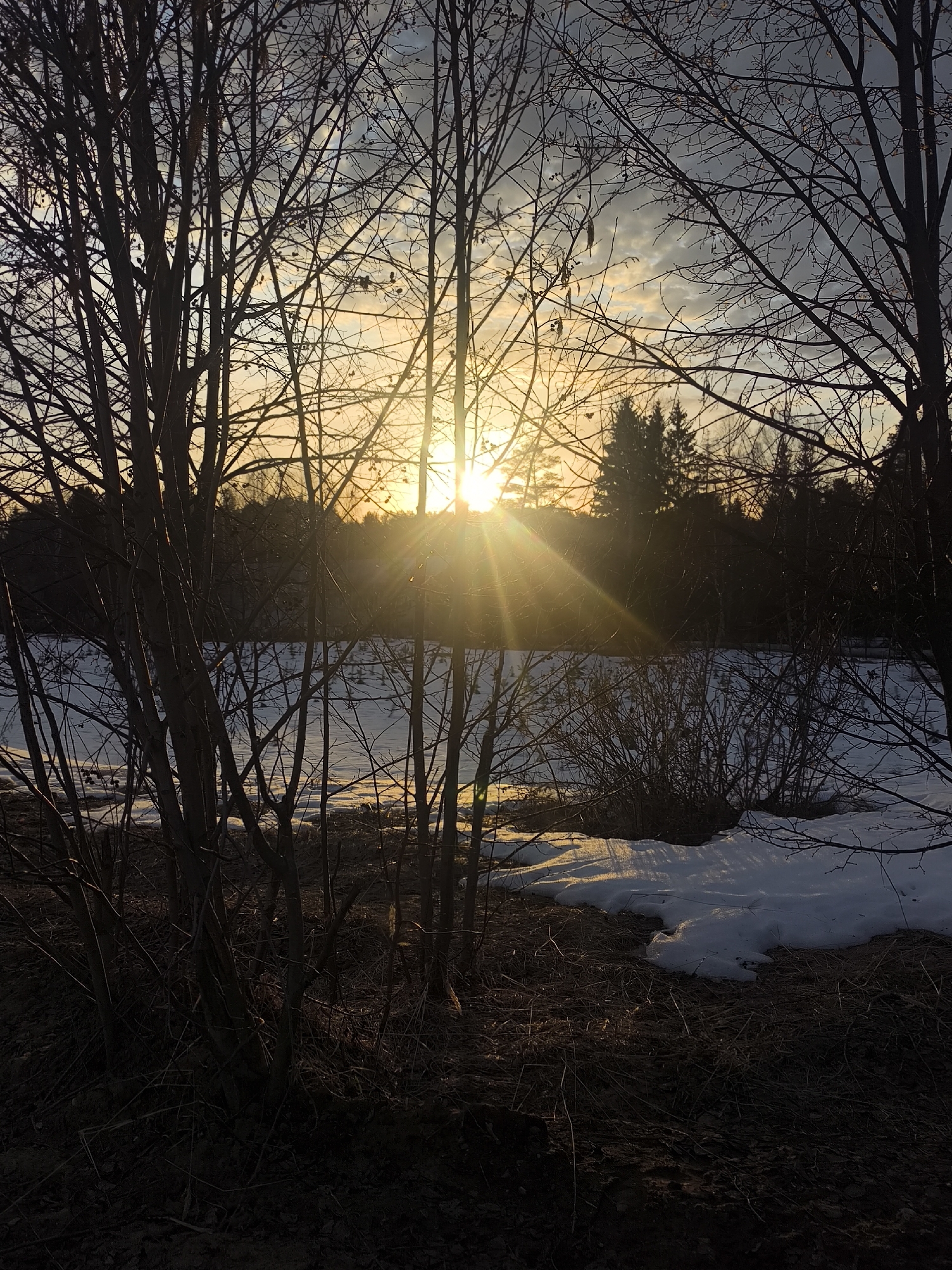 The image depicts a sunset scene in a snowy, wooded area. The sun is positioned low on the horizon, shining through bare trees and creating a radiant burst of light. Patches of snow cover the ground, interspersed with areas of exposed earth and dead grass. Silhouetted trees are visible in the distance, adding depth to the landscape. The location is presumed to be Chaikovsky, Russia, but there is no specific element of the image that confirms this assertion.