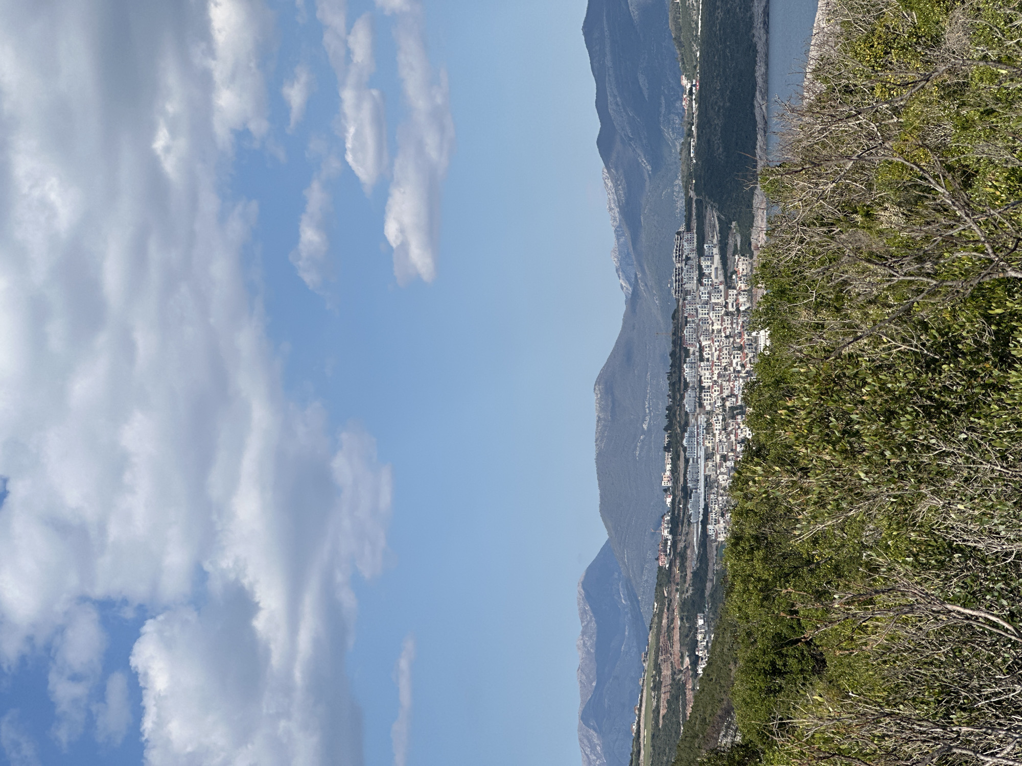 The image captures a scenic view in Radovići, Montenegro, showcasing a combination of natural and urban elements. The sky, predominantly blue with scattered white clouds, takes up a significant portion of the left side. In the middle, mountains form a backdrop. A dense area of vegetation occupies the right foreground, consisting of green leafy plants and dry branches. A town is situated between the mountains and the sea, comprising closely packed white buildings. The photograph is taken in landscape orientation.