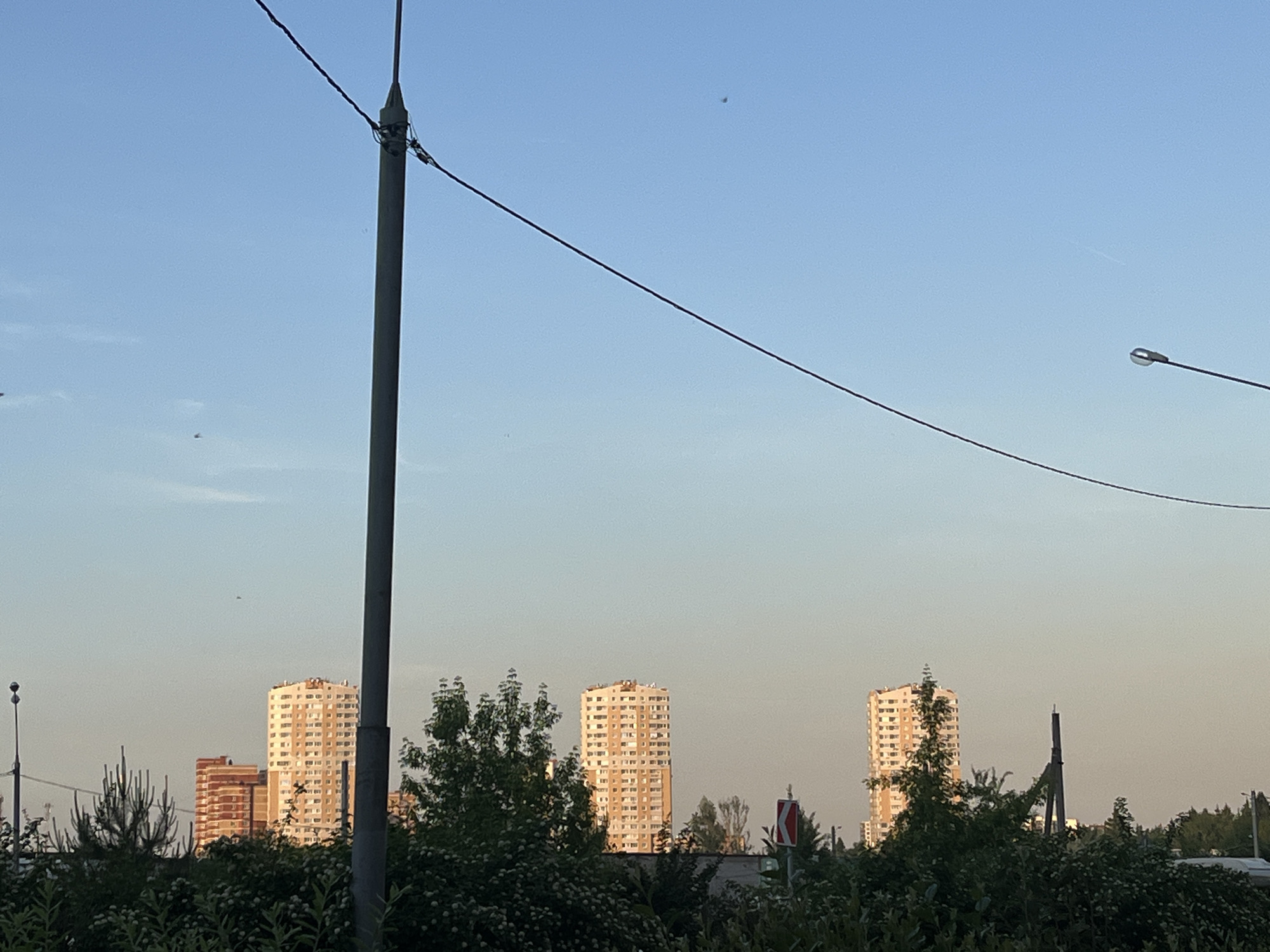 An outdoor scene captured during late afternoon or early evening, showcasing a clear sky and distant urban structures behind dense vegetation. The sky is predominantly light blue, transitioning to a warmer, paler hue near the horizon, indicative of a low sun angle. Several minute dark specks, likely birds or insects, are visible against the sky, particularly in the upper-left and upper-center areas. A faint linear vapor trail is discernible in the upper-right quadrant.
A prominent dark grey utility pole stands vertically, slightly left of the image's center, extending from the lower quarter to the top edge. It supports multiple black power lines; one thick cable descends diagonally from the pole's upper section towards the mid-right, and another thinner wire extends horizontally to the left. To the far left, a slender, dark pole with a spherical top is partially visible. To the far right, a dark pole capped with a silver-domed streetlight fixture is visible against the sky.
The lower third of the image is dominated by dense, varied green foliage, including both deciduous bushes, some exhibiting small white blossoms, and coniferous shrubs, partially obscuring the midground. In the mid-distance, three tall, multi-story residential buildings with light-colored (possibly cream or pale yellow) facades and numerous windows rise above the vegetation. These buildings are brightly illuminated by the warm, low-angle sunlight. A shorter, reddish-brown brick building is visible behind the foreground vegetation to the left of the leftmost tall structure, and another brick-colored building is partially seen between the first two tall buildings. A red and white chevron-patterned road sign is partially visible behind the vegetation in the mid-right. Further dense green foliage and trees are visible in the far background on the right. No human figures are present in the scene. The location is Unknown, Unknown.