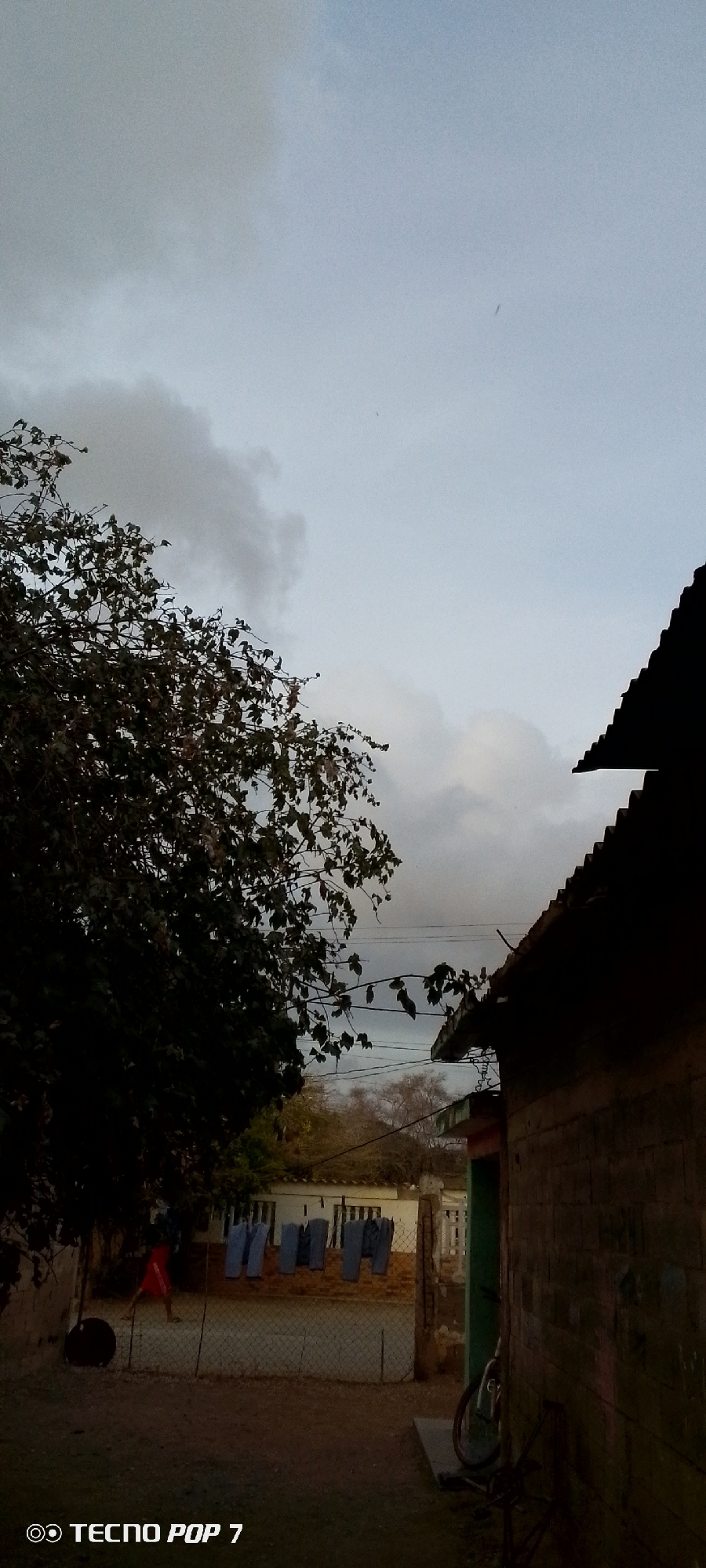 The photograph, taken in Altagracia, Venezuela, presents a view of a residential area under a cloudy sky. A large tree occupies the left side of the frame, obscuring the scene behind it. A person wearing a red garment is visible in the distance, walking near a clothesline. A series of blue garments are hanging on the line. A building with a corrugated metal roof is on the right. A bicycle is parked against the building. The ground is dirt. The lighting is subdued. The words "TECNO POP 7" appear in the lower left corner.