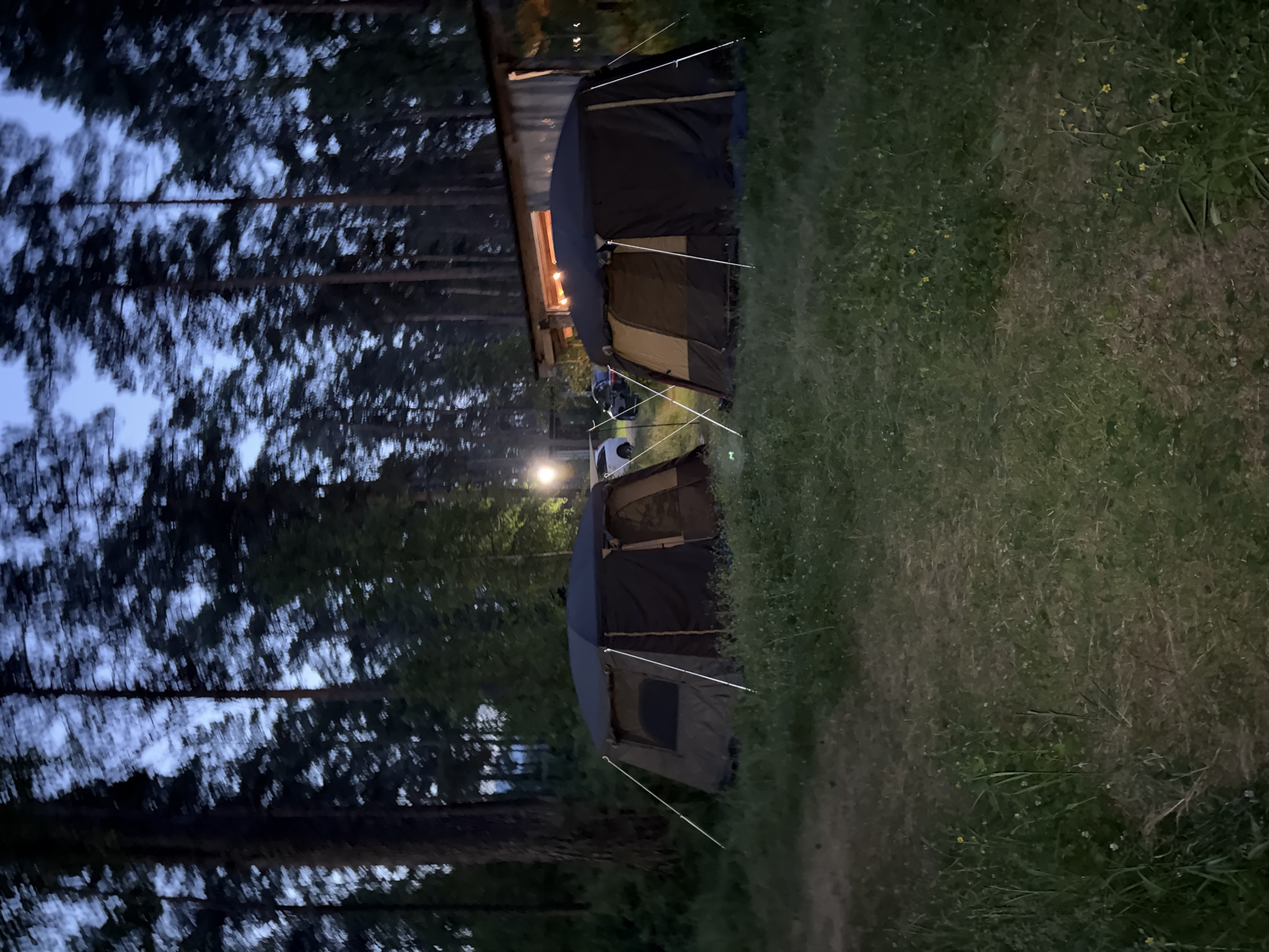 This image depicts two dark-colored camping tents set up in a grassy area within a wooded environment. The lighting suggests it is dusk or early evening, with a faint glow from a light pole to the left of the frame and string lights visible on a building in the background. The building appears to be a rustic wooden structure, possibly a shed or cabin, with an open doorway. Two vehicles, a white car and a dark-colored car, are parked behind the tents. The surrounding trees are tall and densely packed. The ground is covered in grass and scattered with small yellow wildflowers. The scene is located in the city of Cheposh, Russia. There are no people visible in the image.