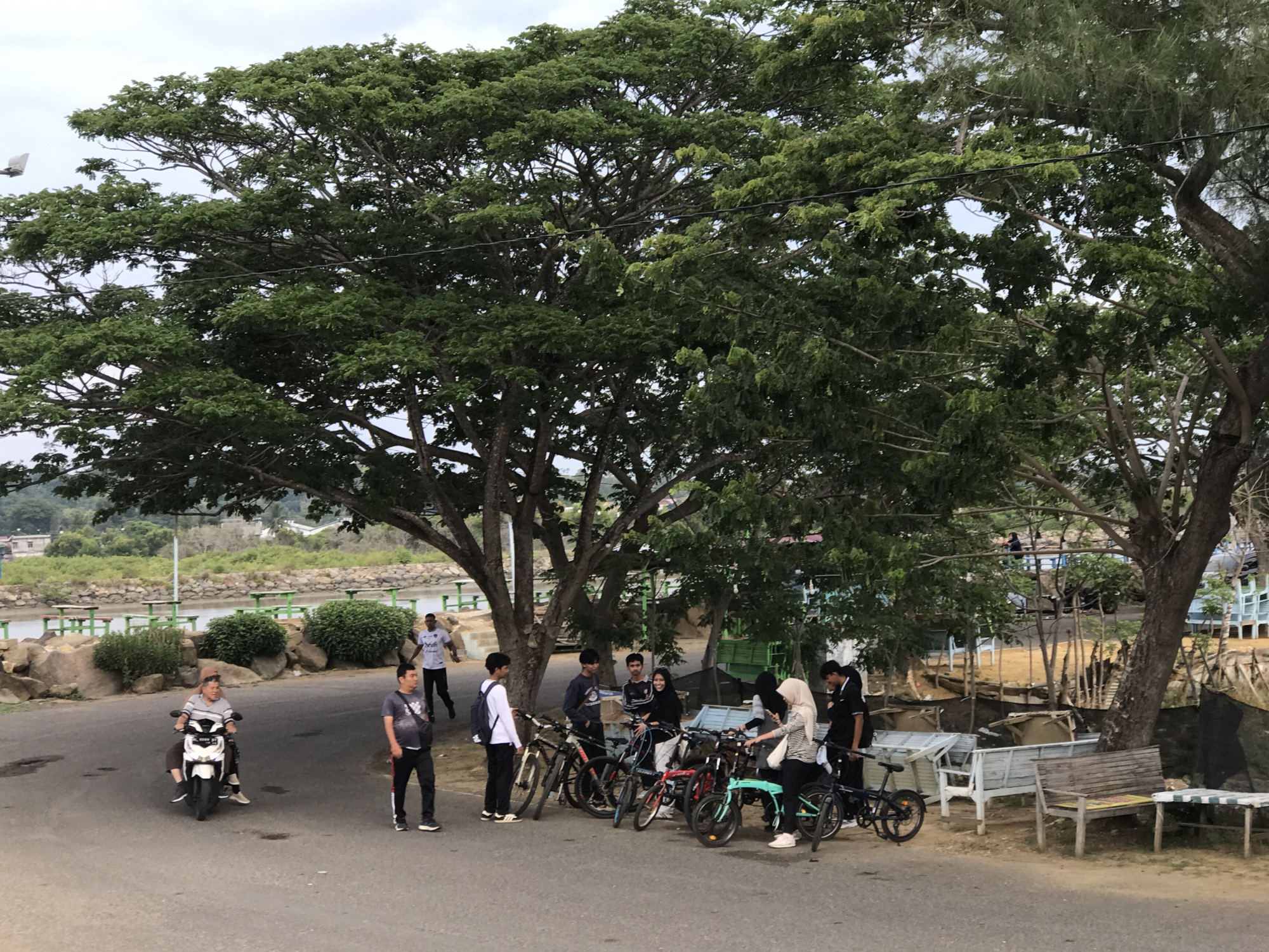 The image depicts an outdoor scene likely in Lhokseumawe, Indonesia, characterized by lush greenery and a body of water in the background. A large, mature tree dominates the central and upper portions of the frame, its dense canopy casting shade. In the foreground, a paved road or pathway is visible, with several people present. On the left, two individuals are on a white scooter; the rider is an adult male wearing a striped shirt, and a second person is seated behind him. Further to the right, a group of young people are gathered around several bicycles. One young man in a black shirt and jeans is talking to a young woman wearing a hijab and a striped top. Another young man in a white long-sleeved shirt and dark pants stands nearby. Several bicycles, including a teal-colored one, are parked. In the mid-ground, across a rocky embankment and some green bushes, a body of water is visible, with picnic tables with green tops and white legs situated along its edge. Buildings and a hillside with vegetation are discernible in the far background. The overall atmosphere suggests a casual gathering or a stop during an outing.