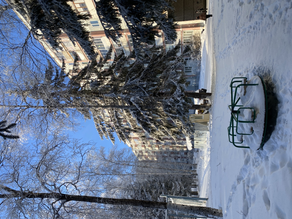 A snowy playground scene features a snow-covered merry-go-round with green railings. A tall, snow-dusted evergreen tree dominates the left side of the frame, partially obscuring a multi-story building in the background. Bare, snow-covered deciduous trees are also visible. A clear, blue sky is visible through the trees. The ground is covered in a thick layer of snow.