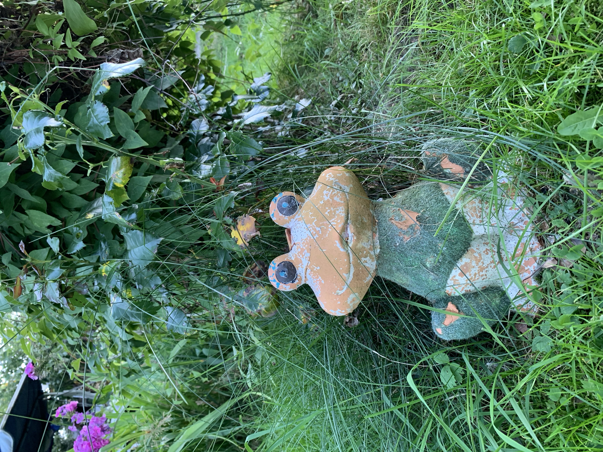 An outdoor, eye-level shot captures a ceramic garden gnome, shaped like a frog, sitting amidst tall, green grass and foliage. The gnome's head is a weathered orange with white accents, and its eyes are painted blue with black pupils. Its body is covered in green textured material resembling moss, with patches of the underlying orange ceramic showing through. The frog-shaped gnome is positioned centrally in the frame, facing forward, with its arms resting on its legs. Behind the gnome, lush green leaves from a bush or tree are visible, some of which are tinged with yellow. In the upper left corner, a cluster of bright pink flowers stands out against the greenery. The overall setting suggests a garden environment within the Капцёўскі сельскі Савет region of Belarus, likely a residential area given the garden gnome and cultivated plants. The lighting indicates it is daytime, with diffused light suggesting an overcast sky or shade.