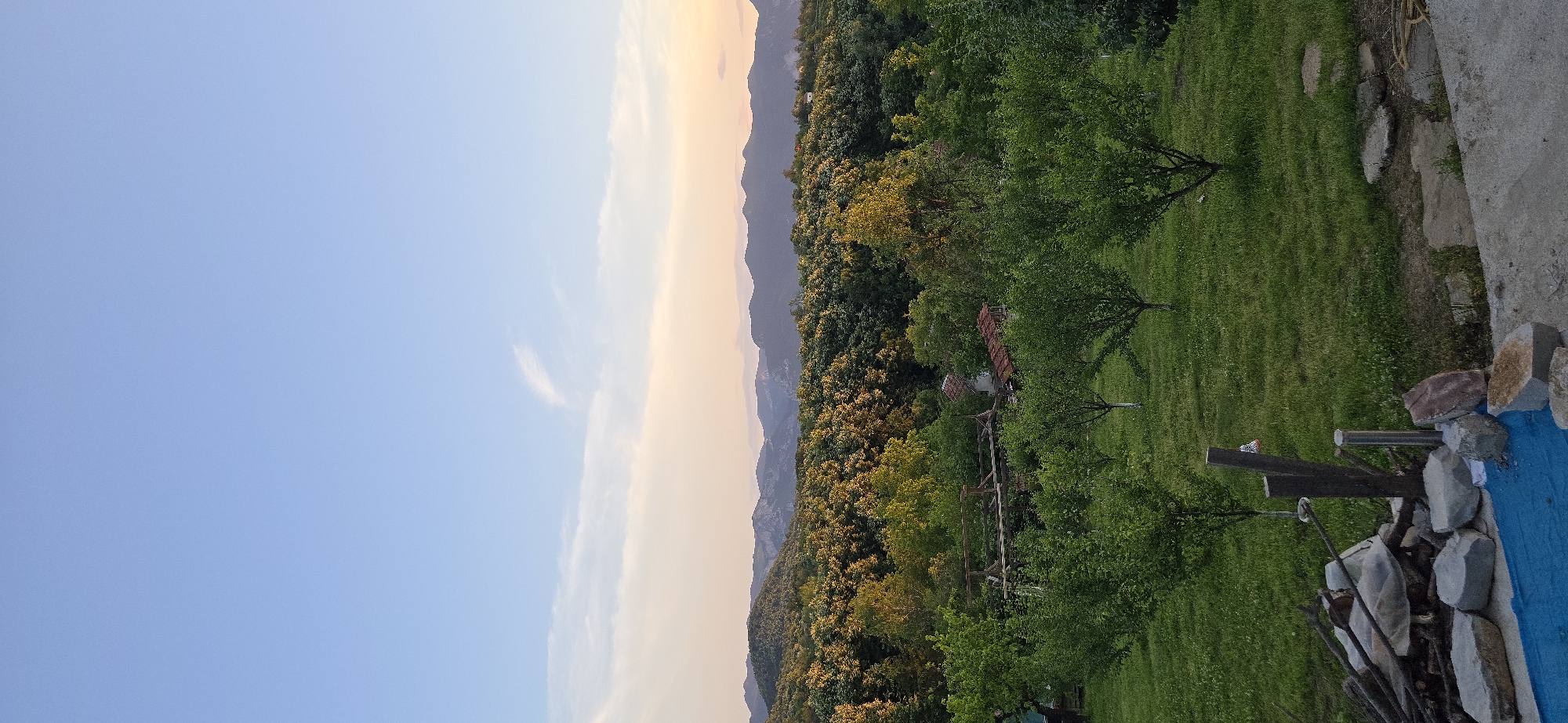 An outdoor, eye-level, vertical, medium shot captures a scenic landscape at dusk. The sky is a gradient of pale blue at the top, transitioning to a soft peach and then a hazy purple towards the horizon. A wispy cloud streaks across the upper sky. Below the sky, rolling hills are densely covered with a variety of trees. The trees in the foreground are smaller, with distinct green foliage, appearing to be fruit trees or ornamental trees, planted in rows across a vibrant green, grassy lawn. Some of these trees have white-painted bases on their trunks. In the mid-ground, a cluster of buildings with reddish-brown roofs are nestled among the trees, one with visible wooden scaffolding. The ground in the immediate foreground consists of a concrete patio area with a blue tarp, several large rocks, and a pile of stacked firewood and branches. A wooden post with a small object attached stands near the firewood. The overall impression is a rural or semi-rural setting during the golden hour, with a peaceful and natural ambiance.
