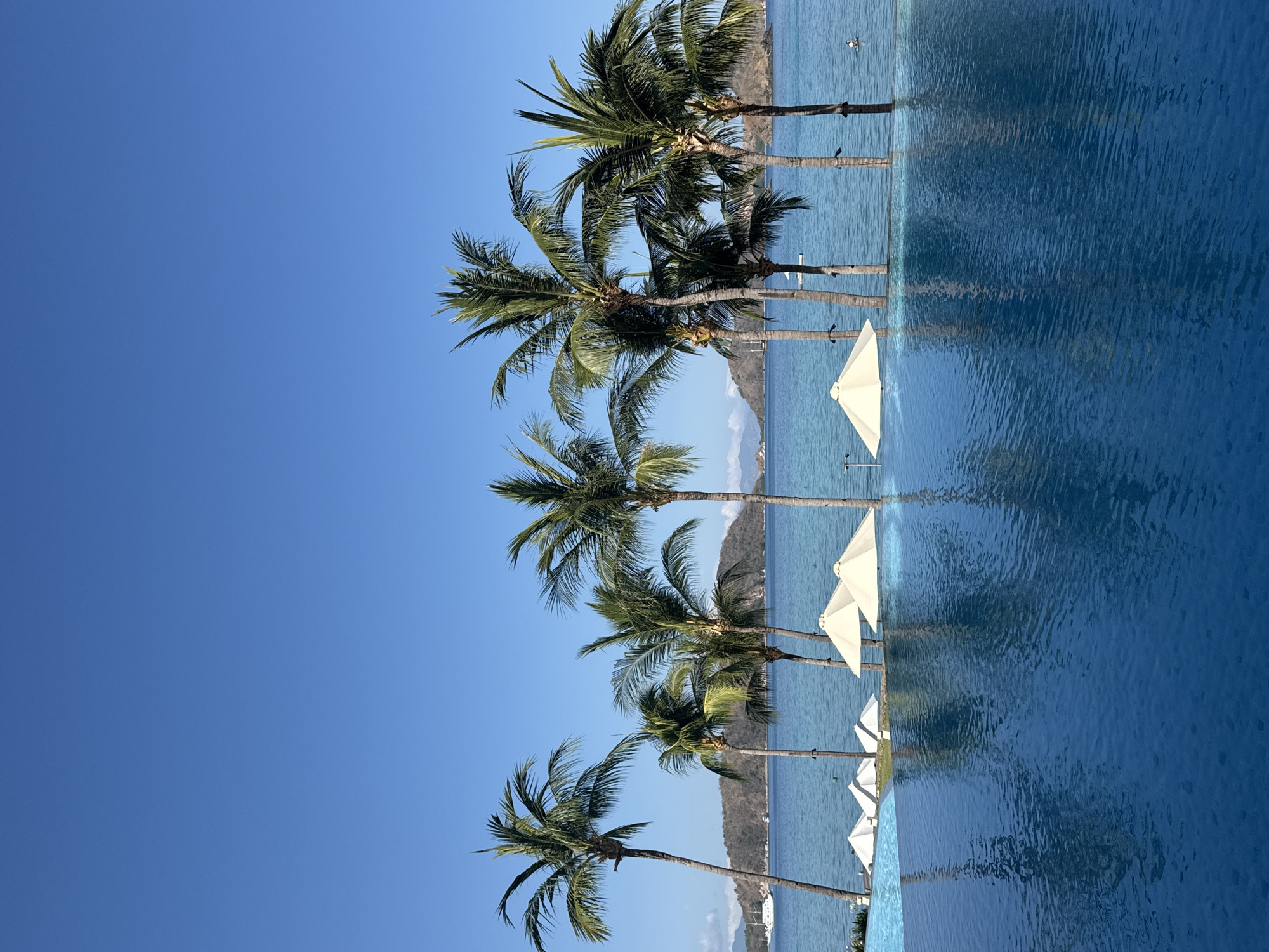 The image depicts a serene tropical scene with an infinity pool in the foreground, its deep blue water reflecting the clear sky. Beyond the pool, a calm turquoise ocean stretches out, dotted with a few distant sailboats and islands covered in lush vegetation. A line of tall palm trees stands between the pool and the ocean, their fronds swaying gently. Several white beach umbrellas are strategically placed along the edge of the pool, some partially submerged in the water, creating a sense of luxurious relaxation. The overall atmosphere is tranquil and inviting, suggesting a high-end resort in a beautiful coastal location. The location is not Labuan Bajo, Indonesia.