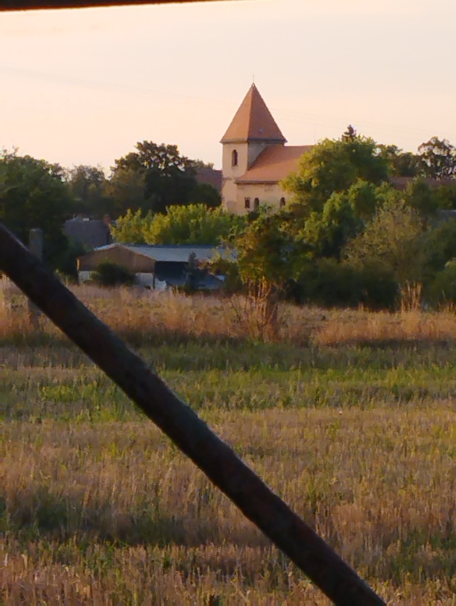 The image is a landscape scene taken in Hospozín, Czechia. In the background, a church with a distinctive orange tiled roof and a tall steeple is visible. It appears to be an older building, possibly made of stone or stucco. Surrounding the church are mature trees with lush green foliage. In the mid-ground, there are several structures, including what looks like a barn or agricultural building with a light-colored facade and a darker roof, as well as some smaller buildings. The foreground is dominated by a field of dry, golden grass and some green vegetation, suggesting it might be a rural or semi-rural area. A dark, diagonal wooden pole or beam cuts across the lower part of the image, obscuring some of the field. The sky is a pale, hazy orange, indicating it could be dawn or dusk. There are no people or animals clearly visible in the image. The overall impression is one of a peaceful, somewhat rustic countryside setting.