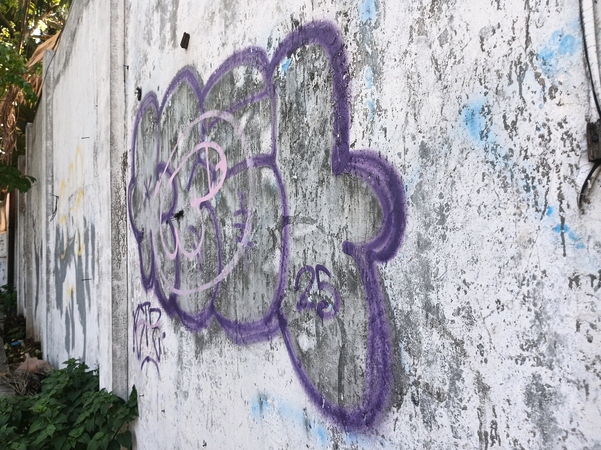 The image shows a section of a white concrete wall in Bandung City, Indonesia, covered in graffiti. The primary graffiti consists of large, bubbly, purple outlines with some light pink inside. To the left of this main piece, there is a smaller purple graffiti tag that appears to read "RAB". The wall itself is weathered and textured, with areas of peeling paint and some faint blue spray paint marks visible. The environment suggests an urban setting, with foliage visible in the lower left corner and a hint of trees in the upper left. The scene is static, with no people present.