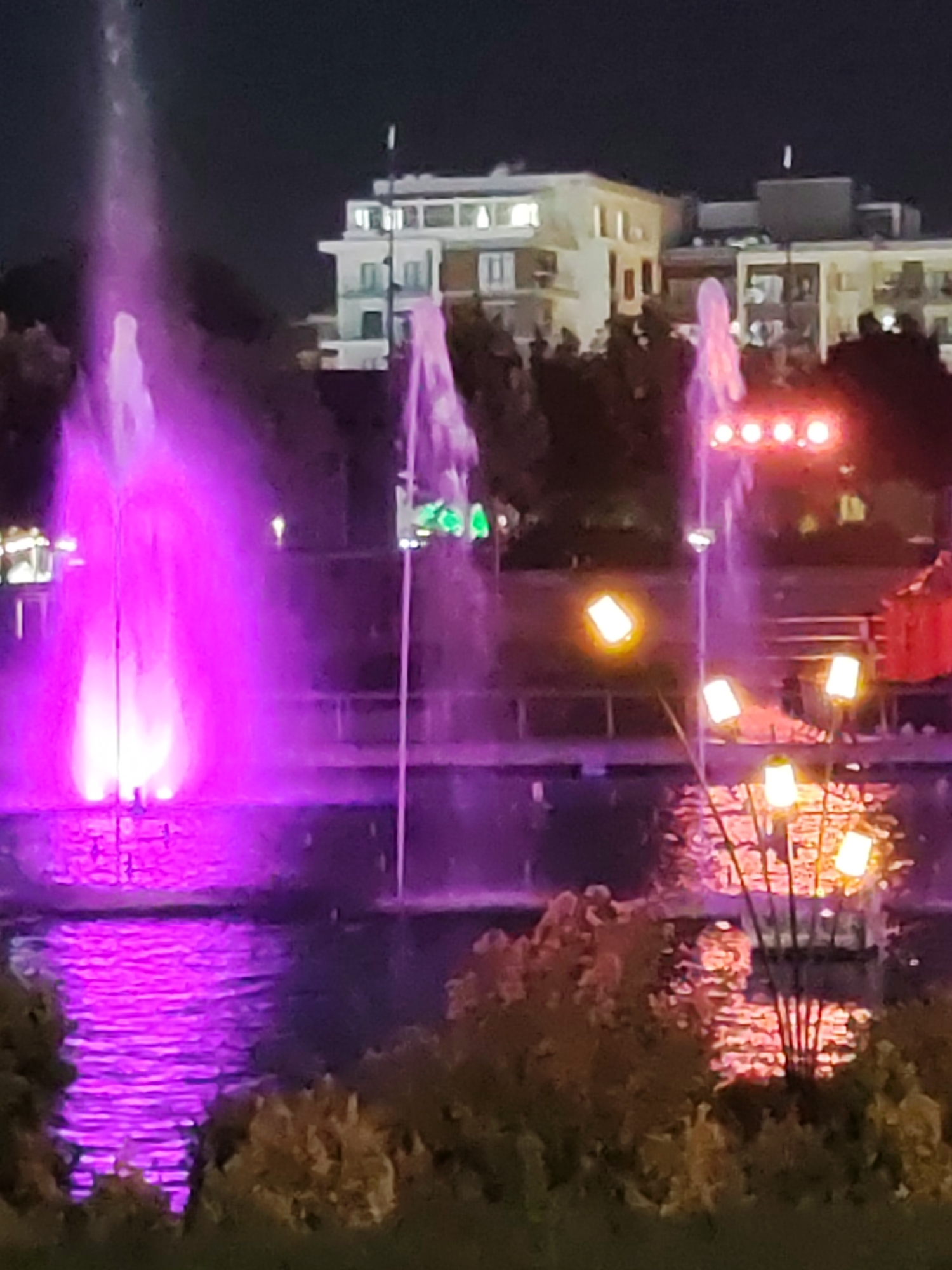 The image depicts an outdoor nighttime scene with illuminated fountains. The primary focus is on a large fountain in the foreground, shooting purple water into the air and reflecting vibrantly on the surface of the water below. To the right, a smaller fountain with purple water spray is visible, and further in the background, another fountain with a more diffuse light source. Several modern buildings with illuminated windows are visible in the background, suggesting an urban setting. In the middle ground, a row of small, lit structures resembling decorative lamps on stalks stand in the water. A string of red lights is also visible in the mid-ground. The foreground is partially obscured by dark greenery, likely bushes or trees. The overall atmosphere is one of an illuminated water feature in a public space at night. The scene is located at the Tashkent City Fountain in Tashkent, Uzbekistan.