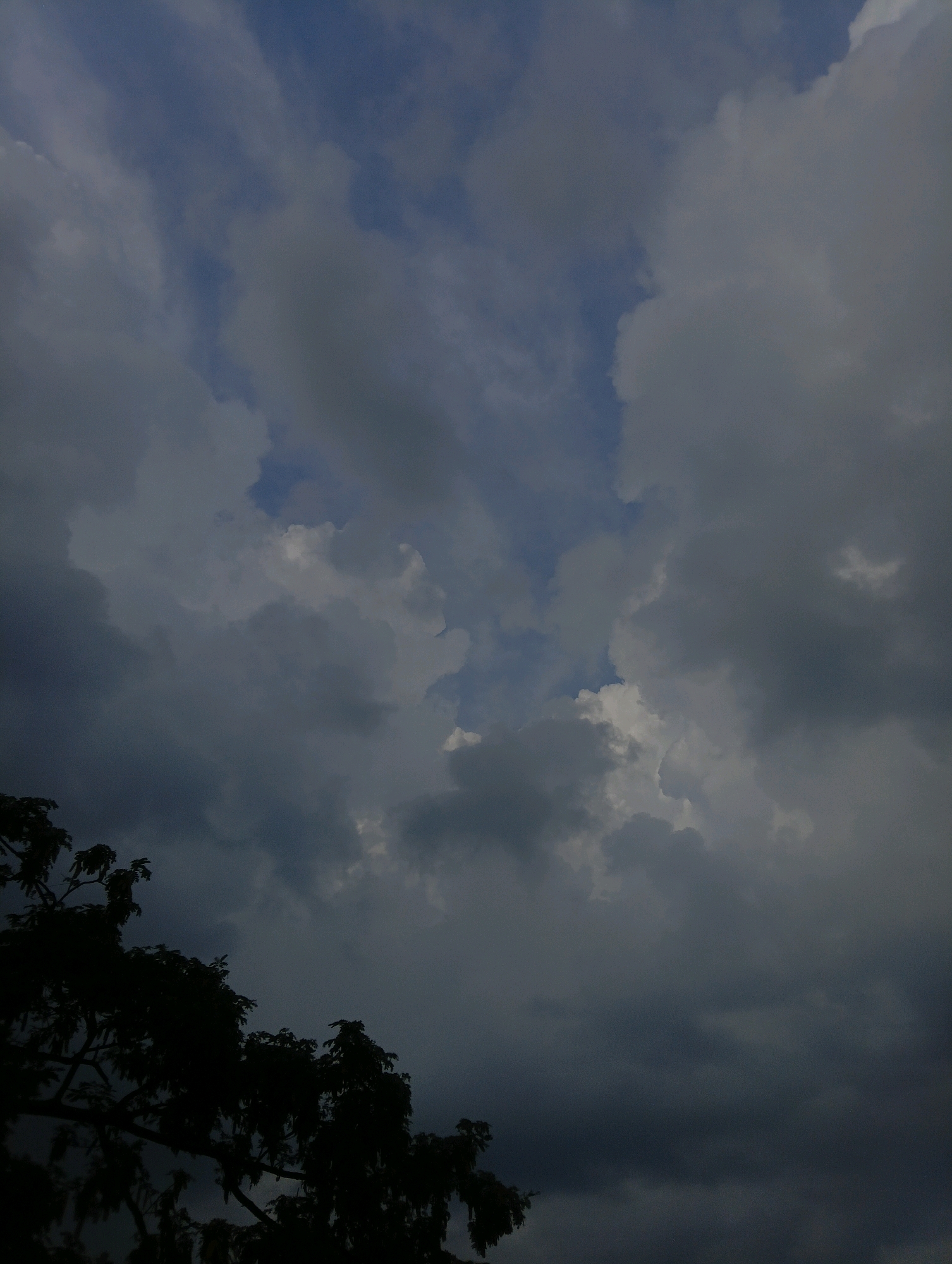 The image depicts a cloudy sky over Chahania, India, with the dark silhouettes of trees in the lower left corner. The sky is filled with a mix of dark and lighter gray clouds, with patches of blue sky visible through the gaps. The clouds appear dense and heavy, suggesting the possibility of rain. The trees are leafy and their branches are intertwined, creating a dramatic silhouette against the sky. The overall mood of the image is somber and atmospheric.