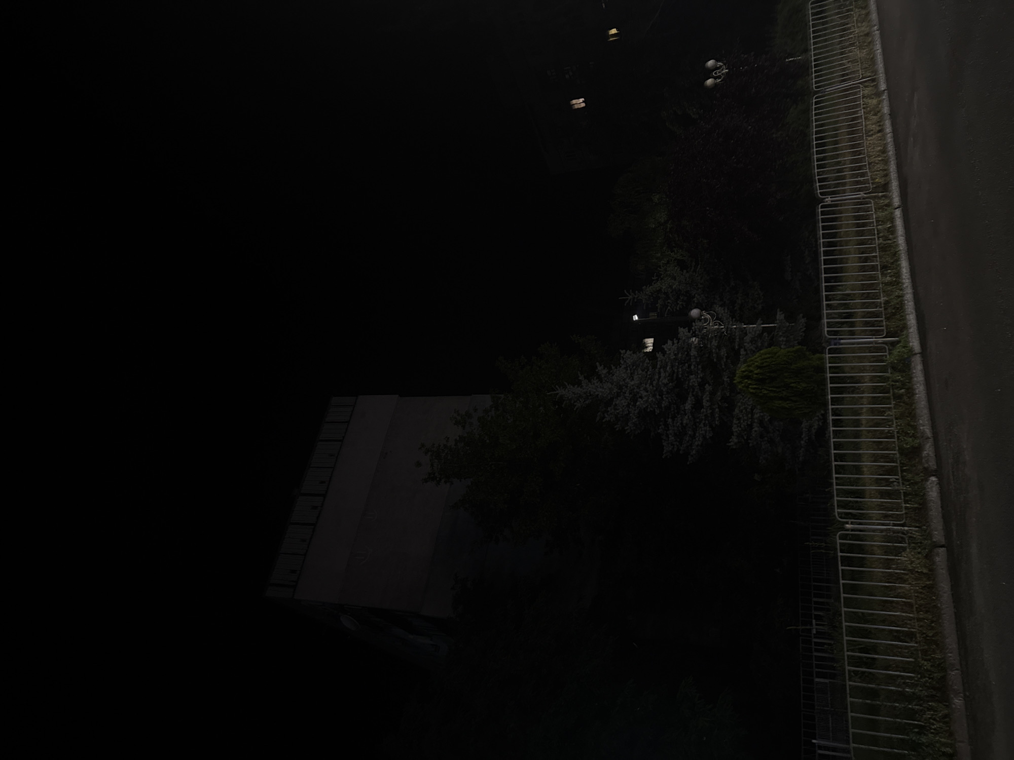 The image depicts a nighttime scene in the city of Dnipro, Ukraine. On the left side, a large, rectangular, multi-story building is visible, casting a shadow and appearing somewhat dilapidated or unfinished. The building's facade is predominantly dark, with some lighter sections suggesting structural elements or windows. Adjacent to the building, there are dense clusters of trees and evergreen bushes, some of which are illuminated by faint artificial light. A metal railing or fence runs horizontally across the lower portion of the image, separating a grassy area from a paved surface, likely a sidewalk or road. The paved area is dark and appears wet, reflecting some of the ambient light. In the background, several streetlights with multiple globes are visible among the trees, indicating a public space or park. The sky is completely black, devoid of stars or moon, typical of urban night conditions with light pollution. The overall impression is one of an urban landscape at night, with limited visibility and a somewhat stark atmosphere.
