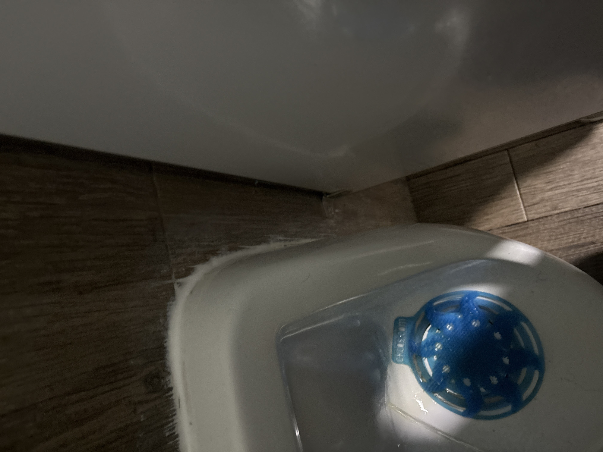 The image shows the corner of a bathroom. A white toilet is positioned on the right side of the frame, with a blue urinal deodorizer visible inside the bowl. The toilet sits against a wall, and the floor is covered in light brown, faux-wood tiles. White caulking is visible between the toilet and the floor. The image does not contain any people or identifiable features to definitively place it in the city of Puebla, Mexico.