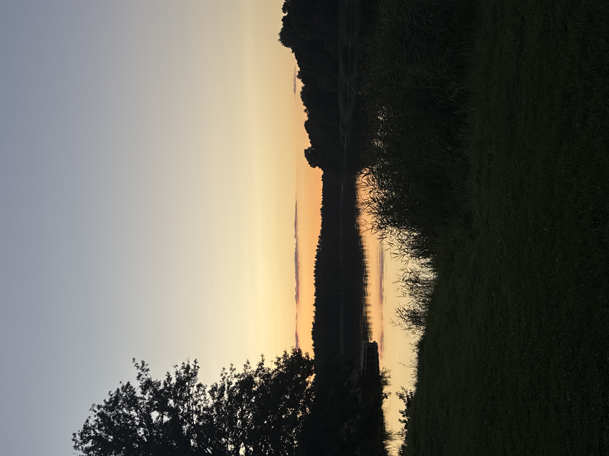 The image depicts a tranquil sunset over the Gauja River in Carnikava, Latvia. Silhouetted trees line the opposite bank of the river, with a dark forest canopy stretching across the horizon. The sky exhibits a gradient of soft colors, transitioning from a pale lavender at the top to a warm orange and yellow near the horizon. A thin strip of clouds is visible where the sky meets the treeline. The water's surface reflects the sunset's hues, creating a shimmering effect. In the foreground, tall grasses and reeds are silhouetted against the water. A dark, grassy embankment occupies the bottom of the frame, with the silhouette of a large tree on the left side. A small wooden dock is visible on the left bank, partially submerged in the water. No people or animals are present in the scene.