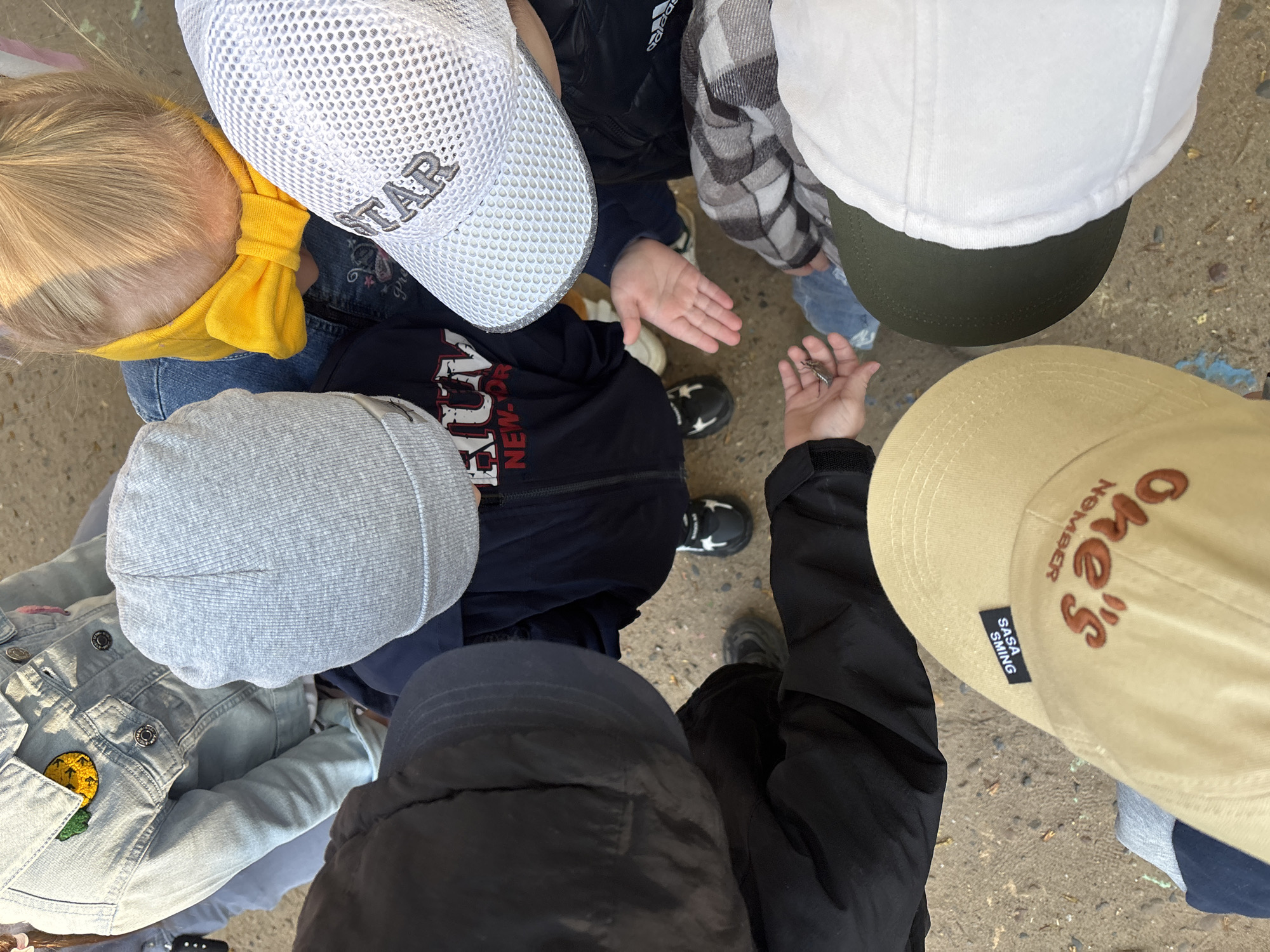 A group of children are gathered in a circle, looking down at a small insect held in one of their hands. The location is identified as Chaikovsky, Russia.
The children are wearing various hats and jackets. One child has a white baseball cap with "STAR" on it, another has a white baseball cap with a green brim, another has a grey cap, and yet another has a khaki-colored cap with a black tag that says "SASA SMING".
One child is wearing a denim jacket with a pineapple patch. One of the children holding the insect is wearing a black jacket and the other one is wearing a plaid jacket. The group is standing on a paved surface.