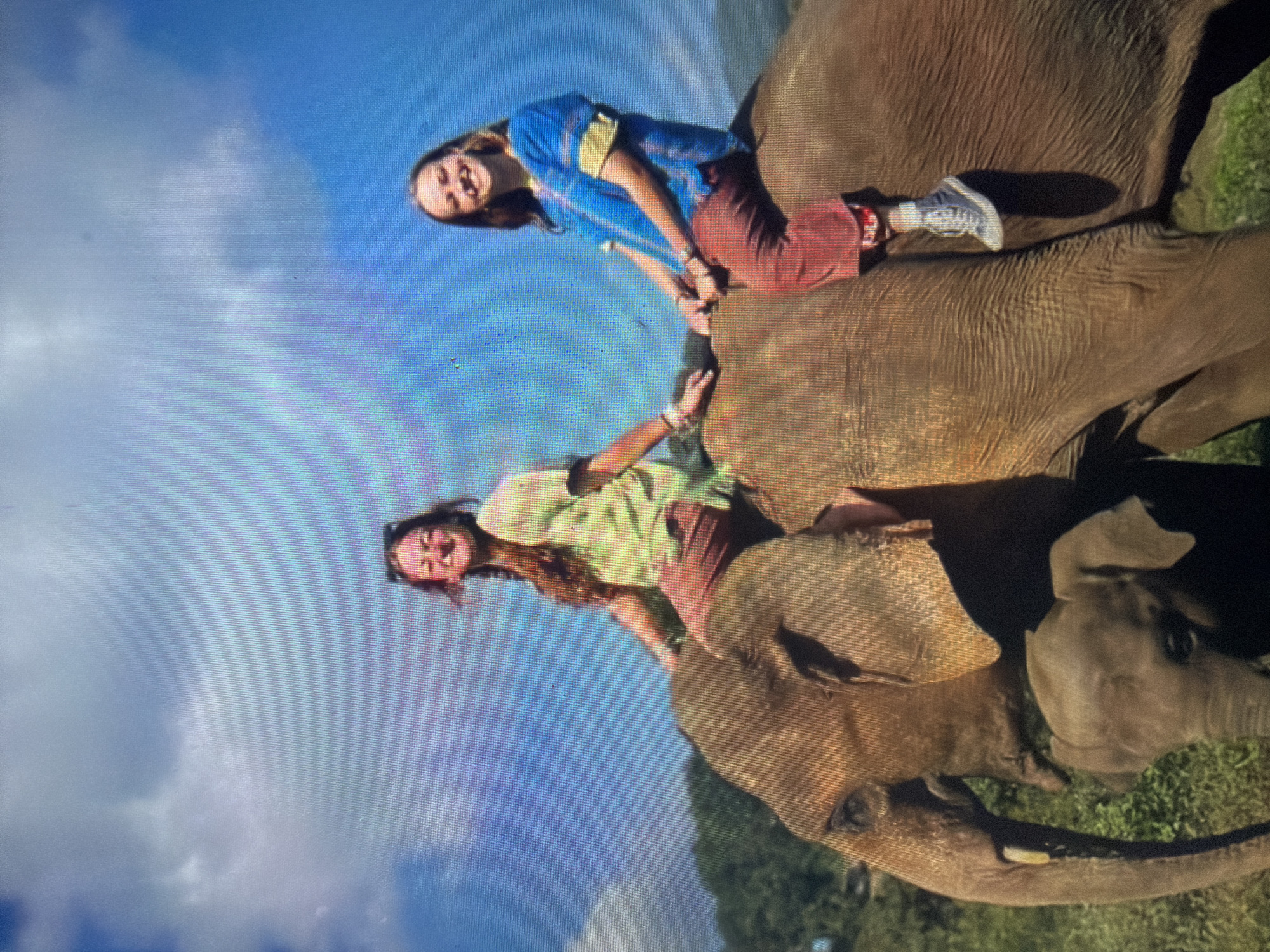 This image depicts two young women seated on the bare back of a large adult elephant, accompanied by a smaller elephant calf. The women are positioned side-by-side on the elephant's upper back, facing forward but looking towards the viewer, both smiling.
The woman on the left has long, reddish-brown hair, partially braided, and wears a light green short-sleeved top, reddish-brown pants, and sunglasses perched on her head. She has bracelets on both wrists. The woman on the right has medium-length brown hair and wears a blue and yellow patterned short-sleeved tunic over reddish-brown pants, with light-colored athletic shoes. She also has bracelets on her wrists. Both women's hands are resting on the elephant's back.
The adult elephant is a large, grey-brown animal with visible skin wrinkles and at least one tusk protruding from its left side. The elephant calf, smaller and with slightly lighter skin, has its head and trunk visible to the left of the adult elephant's head.
The environment is outdoors, under a clear blue sky with scattered white and light grey clouds that occupy the upper portion of the frame. The background features dense green foliage and distant hills, indicating a natural, non-urban setting. The ground directly beneath the elephants appears to be green grass and dirt. The scene is illuminated by bright natural daylight.
Regarding the specified location, the image is presented as being located in the city of Shumen, Bulgaria.