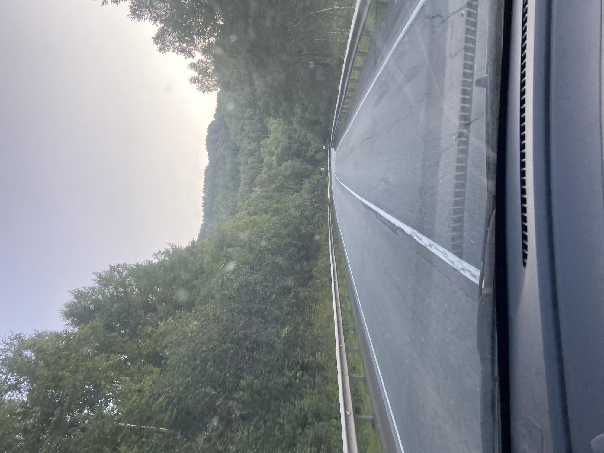 The image is a point-of-view shot from inside a vehicle driving on a two-lane paved road. The road is bordered by a metal guardrail on the right and a grassy shoulder with trees on the left. Dense, green forest covers the hills that flank the road. The sky is overcast and light. The scene appears to be located in a rural area, consistent with the natural landscape of Burovshchina, Russia. The road has white dividing lines and a white line on the right edge. The dashboard of the vehicle is visible in the foreground.