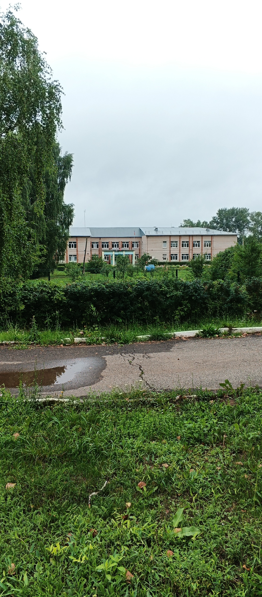 The image captures a daytime scene in the village of Podgornoye, Russia. In the background, a multi-story building, likely a school or administrative facility, is visible. The building has a light-colored brick facade, a gray sloped roof, and numerous rectangular windows arranged in rows. A flagpole with a flag is present on the roof. In front of the building, there is a black metal fence and a line of dense green bushes. To the left of the building, a large tree with dense green foliage partially obstructs the view. The foreground features a paved road with a large puddle of water reflecting the overcast sky. The road is cracked in several places. The surrounding area is covered in green grass and various plants, with some fallen leaves and a few small brown mushroom-like objects visible in the grass. The sky is overcast, suggesting a cloudy day. No people or animals are present in the frame.