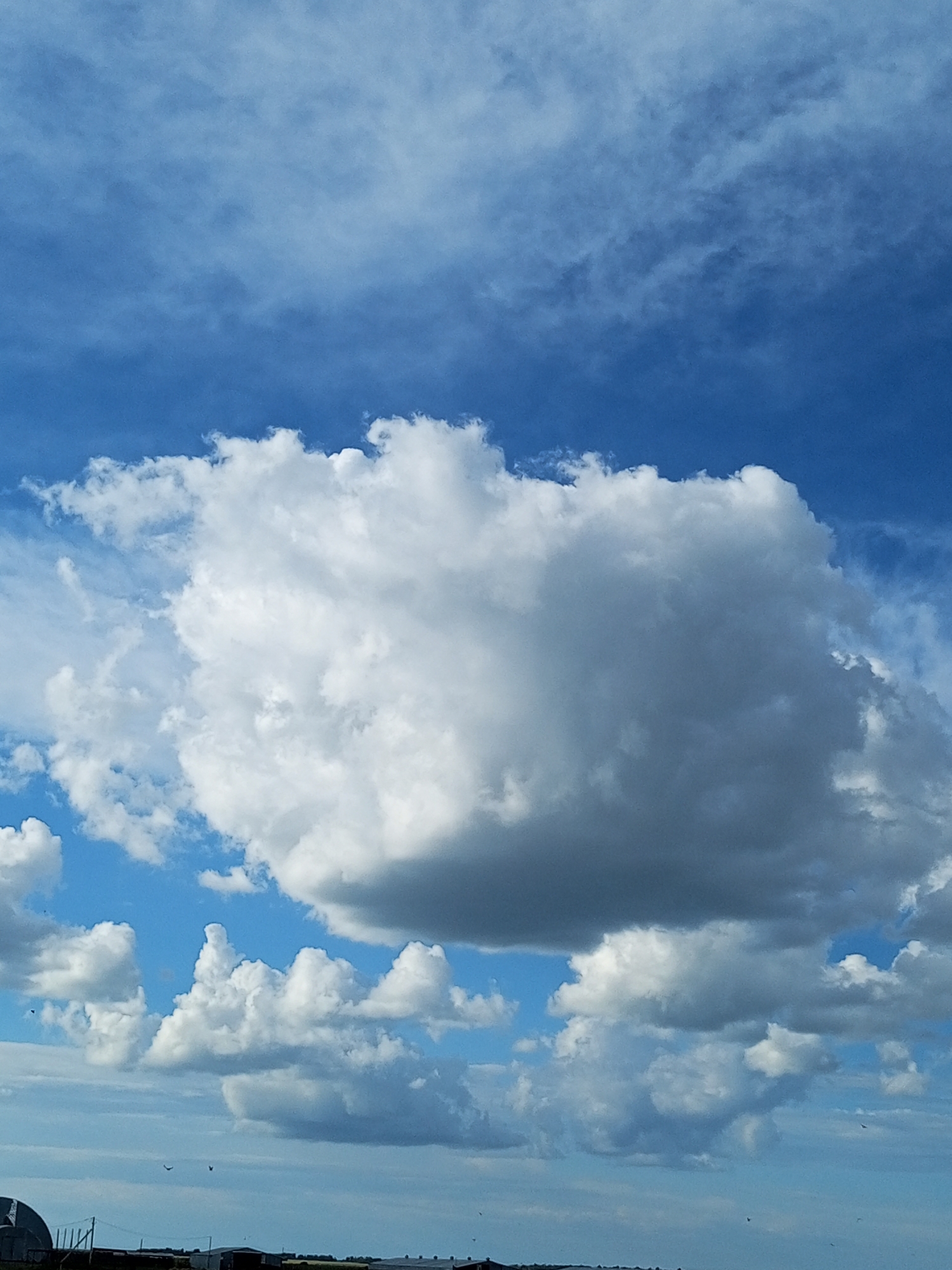The image depicts a vast, blue sky filled with a variety of clouds. A large, dominant cumulus cloud occupies the center-left portion of the frame, appearing fluffy and white with some darker, shaded areas suggesting depth. Scattered smaller cumulus clouds are visible throughout the sky, some appearing wispy and thin, while others are more substantial. In the lower portion of the image, a sliver of the horizon is visible, showing a flat landscape with a few buildings and structures that suggest an undeveloped or rural area. The overall impression is a serene, cloud-filled sky. The location in the city of Бөрлі, Kazakhstan is not discernible from the visual information provided in the image.