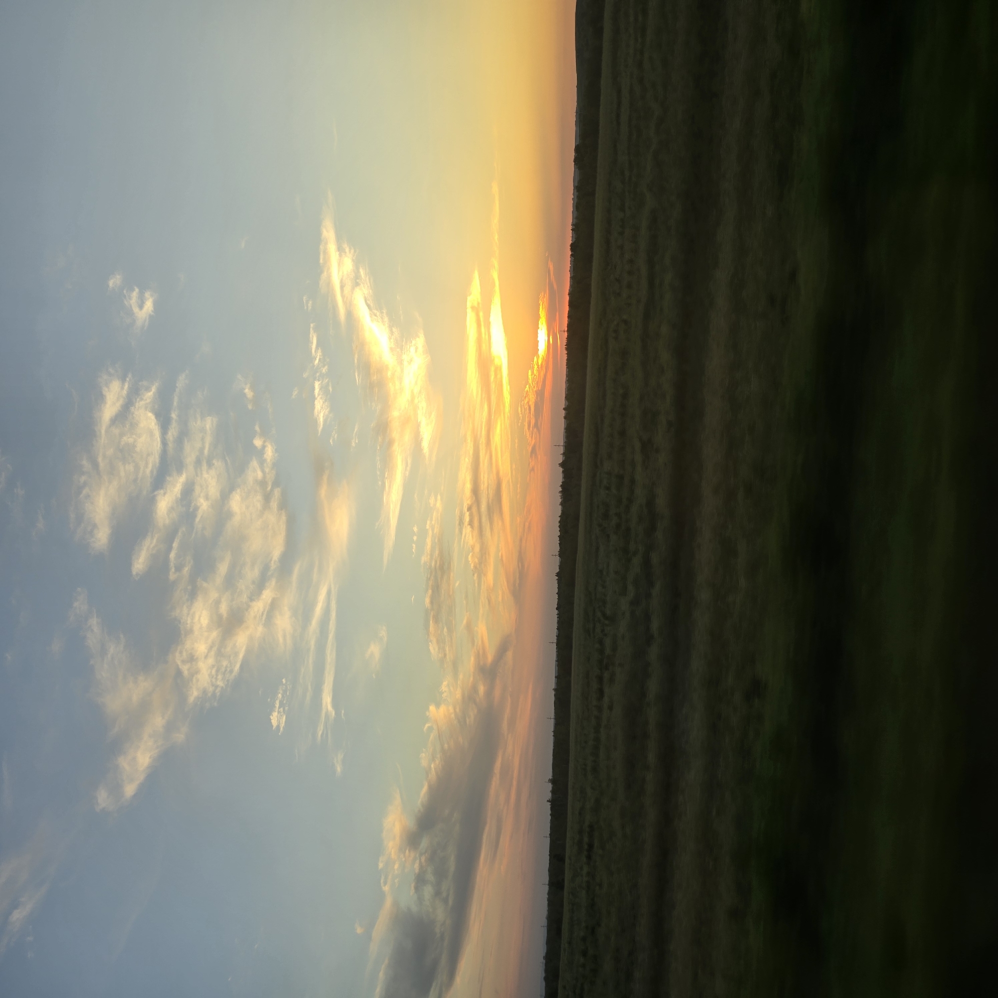 The image depicts a natural landscape scene at sunset. The sky is a gradient of colors, with hues of blue, yellow, orange, and pink, illuminated by the setting sun. Wispy clouds are scattered across the sky, catching the warm light. Below the sky is a broad, flat field of dark green vegetation, possibly a cultivated field or meadow. The horizon line is low, with a dark band of trees or a distant treeline visible in the middle ground. The foreground is a blurry, dark green area, suggesting movement, perhaps from a vehicle. There are no people or specific identifiable objects in the scene. The overall impression is one of a rural or natural environment during a sunset. The location is identified as Starobelokurikha, Russia.