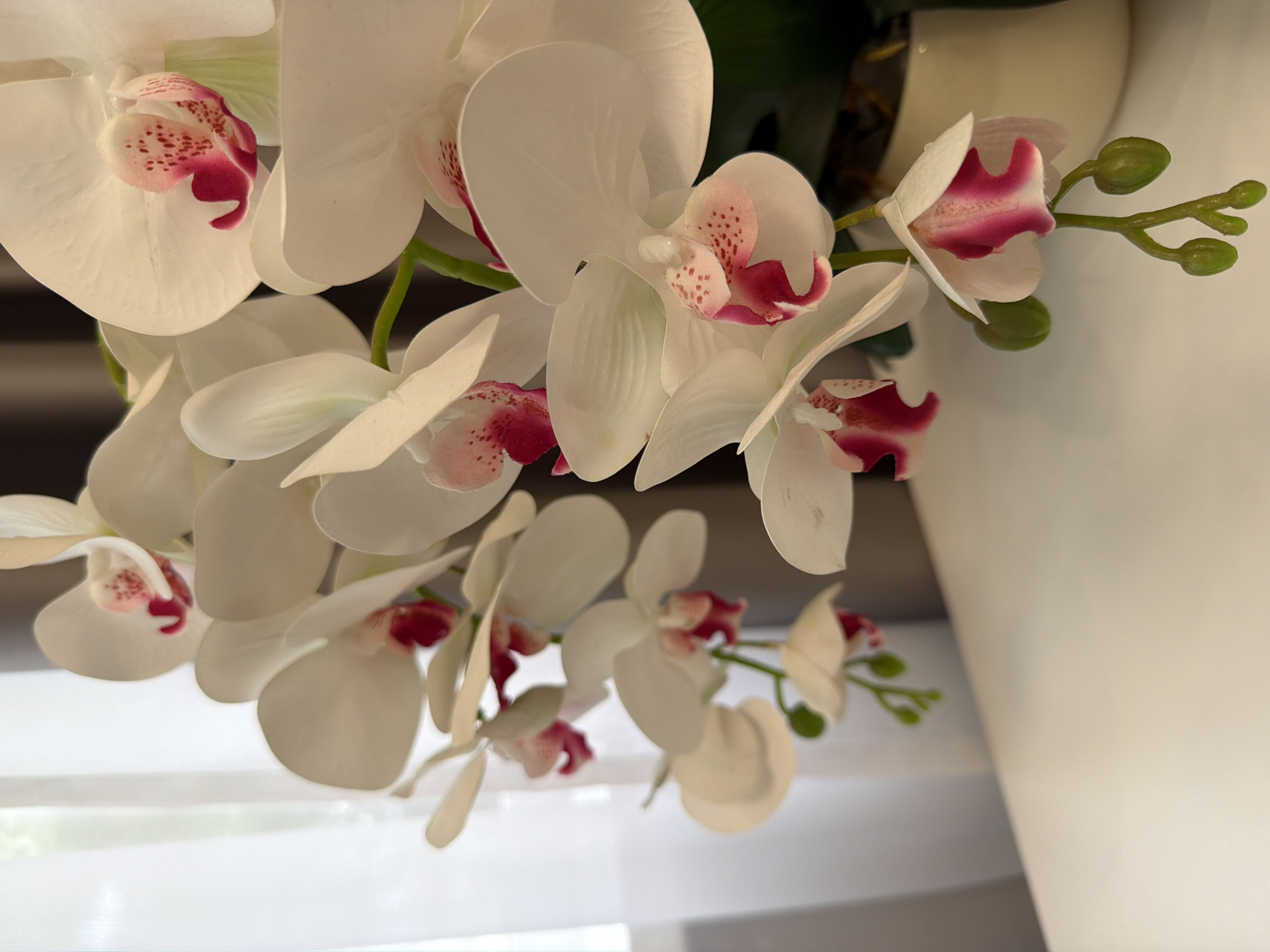 A close-up shot focuses on a cluster of white orchids with pink and magenta centers, some with small green buds. The orchids are on a stem and appear to be artificial, resting on a white surface. In the background, a sheer white curtain is visible on the left, with a dark gray curtain behind it. The lighting suggests an indoor setting, possibly a home or office, with natural light filtering through the window. The image is composed to highlight the delicate details of the flowers.