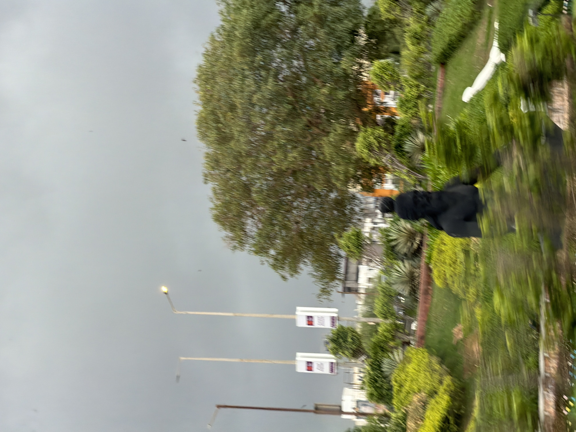 The image shows a blurry outdoor scene with a dark, overcast sky. In the foreground, a statue of a figure wearing a dark, hooded garment is visible. The statue appears to be made of dark material and is positioned amongst lush green foliage. To the left of the statue, there are two tall poles with white rectangular signs hanging from them. These signs have red and white text and logos. In the background, a large tree with dense green foliage dominates the right side of the frame. Behind the trees and foliage, several buildings are partially visible. Two streetlights with yellow lights are also present in the background, and one appears to be on. The overall impression is a somewhat motion-blurred image of a landscaped area with a statue and some signage. Based on the context of similar images, this location is likely the Western Express Highway in Mumbai, India, specifically near the Bandra Worli Sea Link.