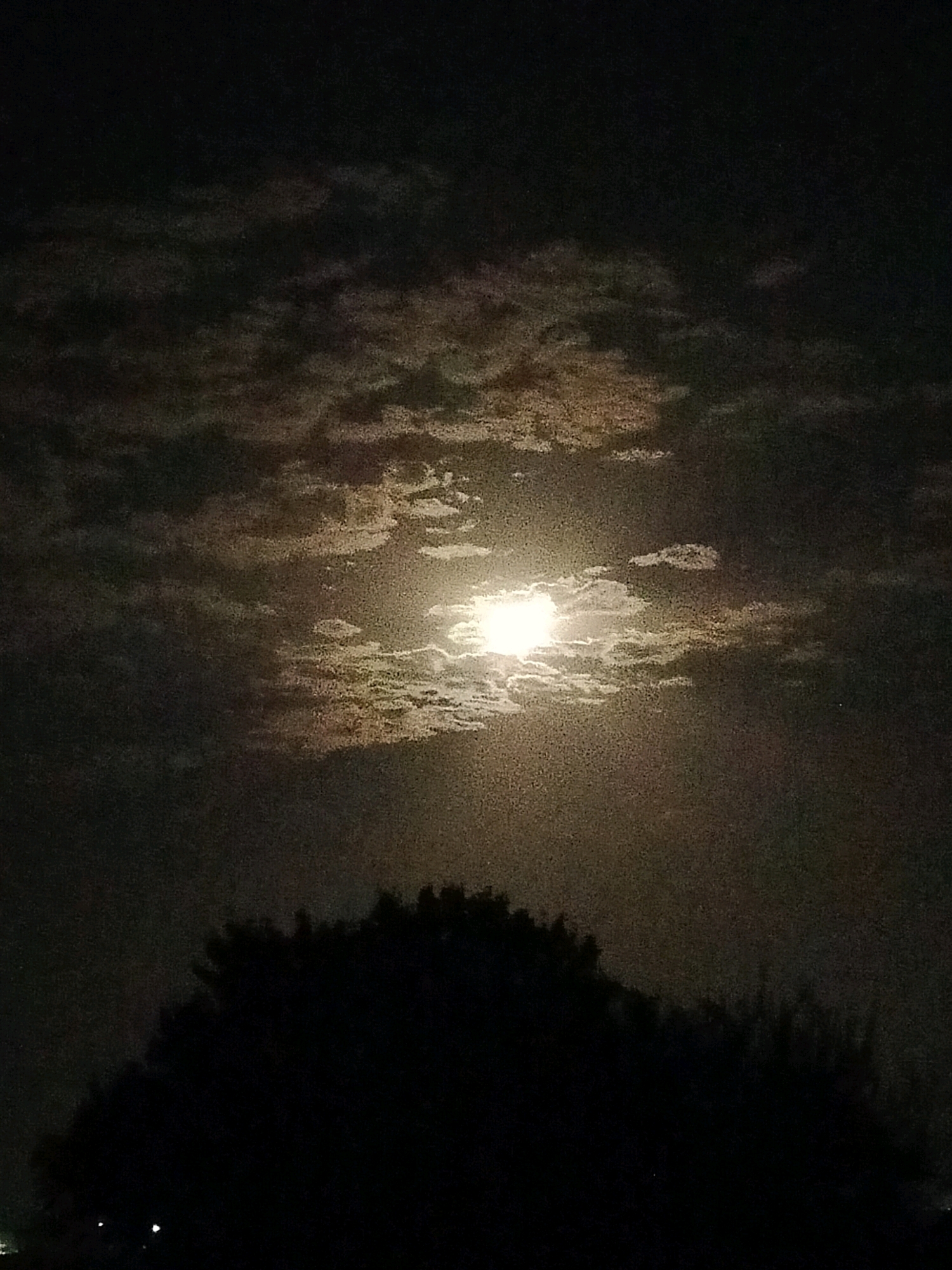 The image captures a night scene in the city of Көлкент, Kazakhstan. A bright full moon is prominently featured in the sky, partially obscured by scattered, wispy clouds. The moonlight illuminates these clouds, creating a soft, ethereal glow. In the foreground, the silhouette of a large tree dominates the lower portion of the frame, its dark branches extending upwards towards the moonlit sky. The overall atmosphere is serene and nocturnal.
