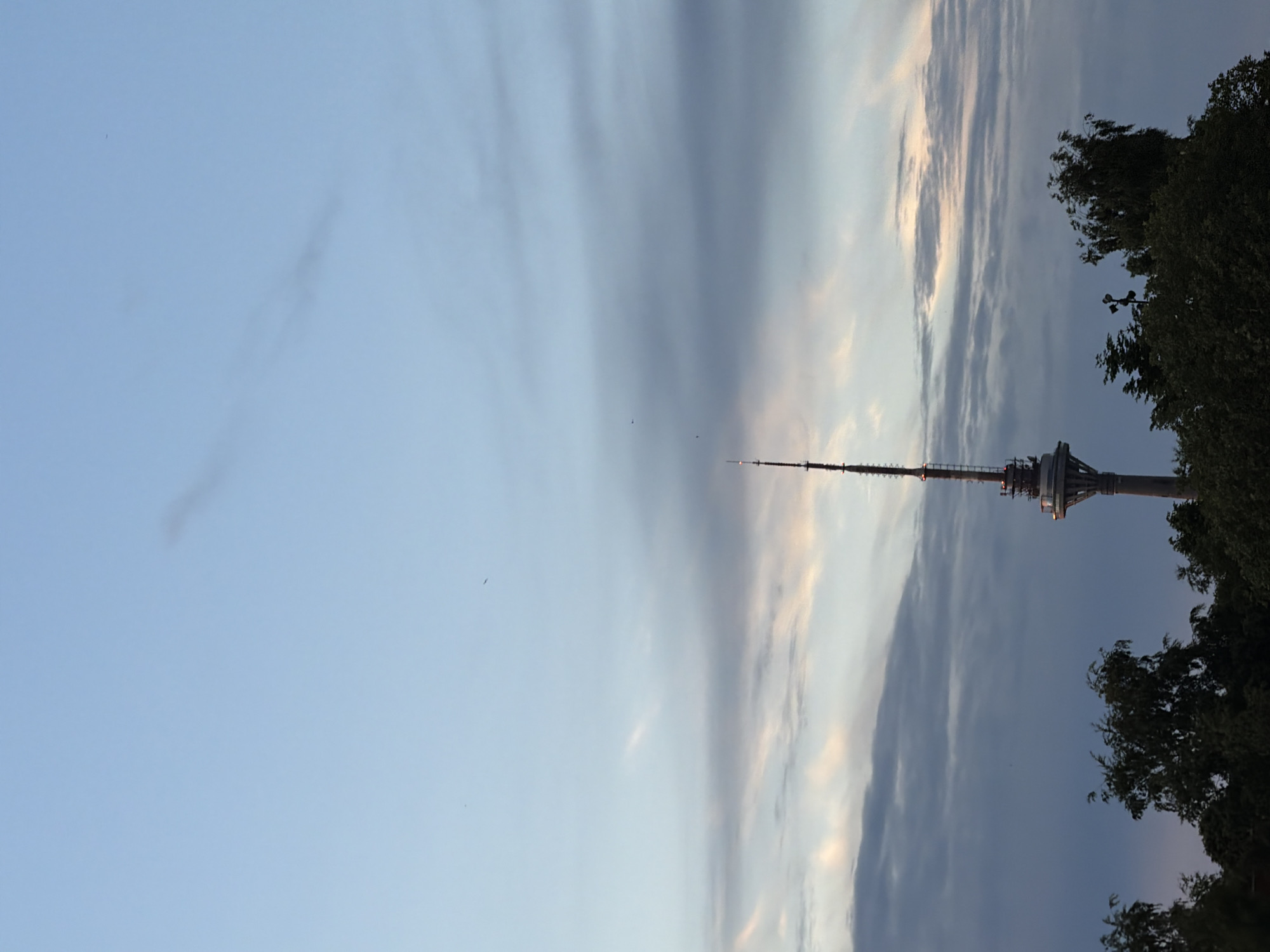 This media file captures a view of the Tallinn TV Tower, located in Tallinn, Estonia. The image is oriented vertically, with the tower positioned on the right side, reaching towards the sky. The tower's distinctive structure, a tall, slender spire with a wider observation deck near the top, is clearly visible against a dramatic sky.
The sky is a prominent feature, filled with a mixture of light blue and darker, streaky clouds. Some clouds appear wispy and thin, while others are denser and darker, suggesting varying atmospheric conditions. The lighting indicates that it is either early morning or late evening, likely around dusk, given the soft, diffused light and the contrast between the bright sky and the shadowed parts of the clouds and trees.
On the right side of the frame, lush green trees frame the lower portion of the tower, their branches appearing windswept, hinting at a gentle breeze. A streetlamp is also visible among the trees, suggesting the proximity of urban infrastructure.
There are no people visible in the image. The overall mood is serene and slightly dramatic, due to the interplay of light and shadow in the sky. The focus is on the architectural marvel of the TV tower and its integration with the natural elements of the sky and trees. There is no visible text in the image.