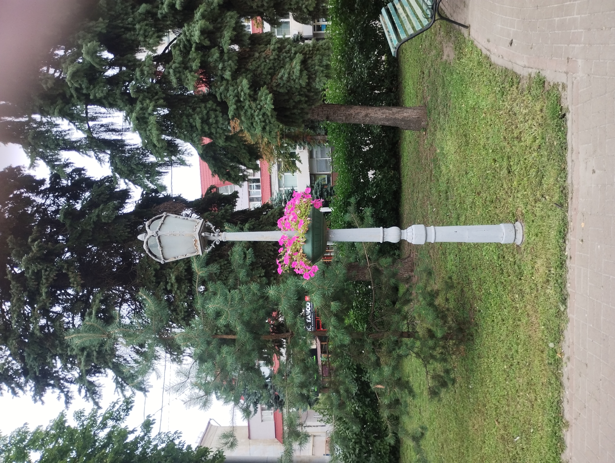 The image depicts a lamppost with a planter filled with pink flowers, located in a park area in the city of Sumy, Ukraine. The lamppost is ornate and painted a light grey. The planter is a dark green, bowl-shaped container overflowing with bright pink petunias. Behind the lamppost, a variety of trees are visible, including pine trees with their characteristic needles and larger, mature trees with dense green foliage. In the background, a multi-story building with a red roof and white walls can be seen, suggesting an urban setting bordering the park. To the right of the lamppost, a green park bench with a slatted seat is positioned near a brick pathway. The ground is covered in green grass, with scattered patches of brown, indicating a well-maintained but natural outdoor space. The sky appears overcast, casting a soft, diffused light over the scene.