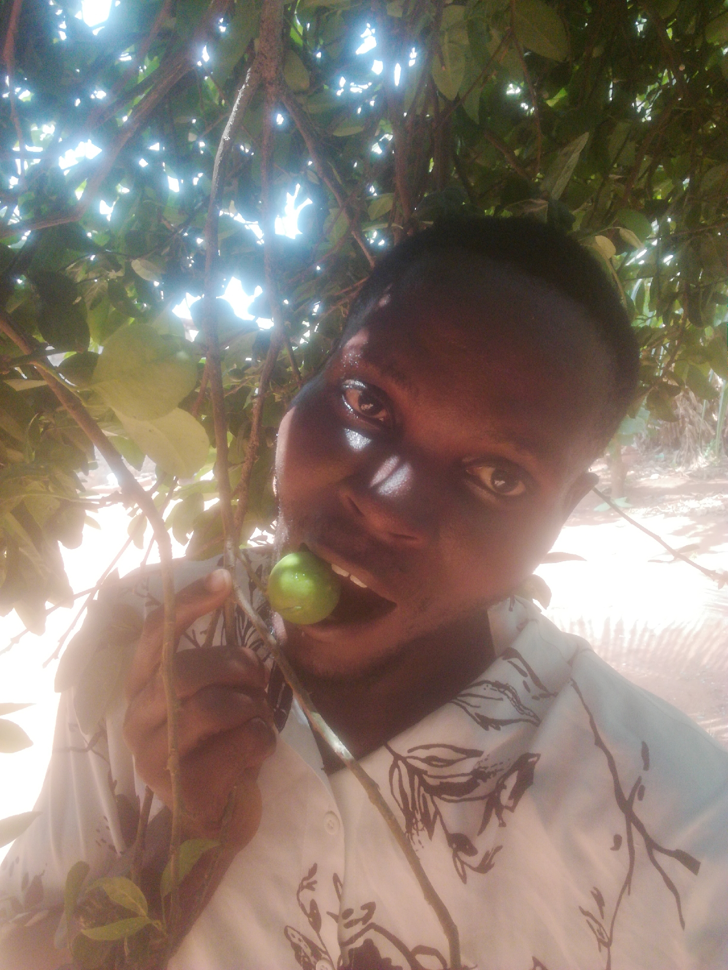 A man with dark skin and short hair is holding a green fruit in his mouth, while standing under a tree with branches and leaves. He is wearing a white shirt with a dark floral print. The location is Unknown, Unknown.