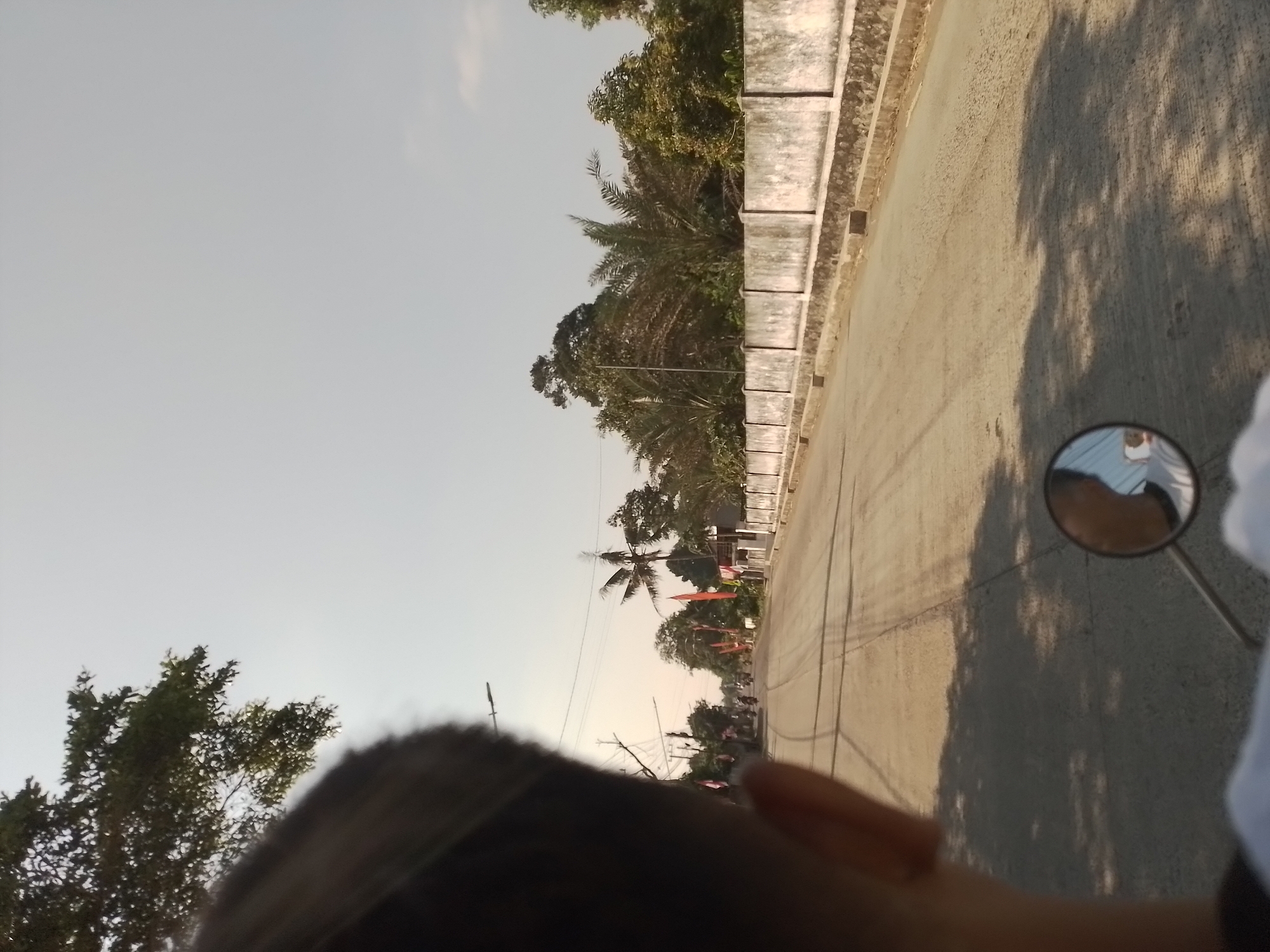 The image captures a view from the perspective of someone riding a motorcycle on a paved road in the city of Ngancar, Indonesia. The road is wide and appears to be in a rural or semi-urban area, with a concrete barrier running along the right side. Trees and foliage line the road, with some palm trees visible. Several small flags, likely national flags of Indonesia, are planted along the roadside. In the distance, other motorcycles can be seen on the road. A rearview mirror from the motorcycle the viewer is on is visible in the lower right portion of the image, reflecting a person's head and shoulders. The sky is clear and bright, suggesting it is daytime, likely late afternoon given the shadows.