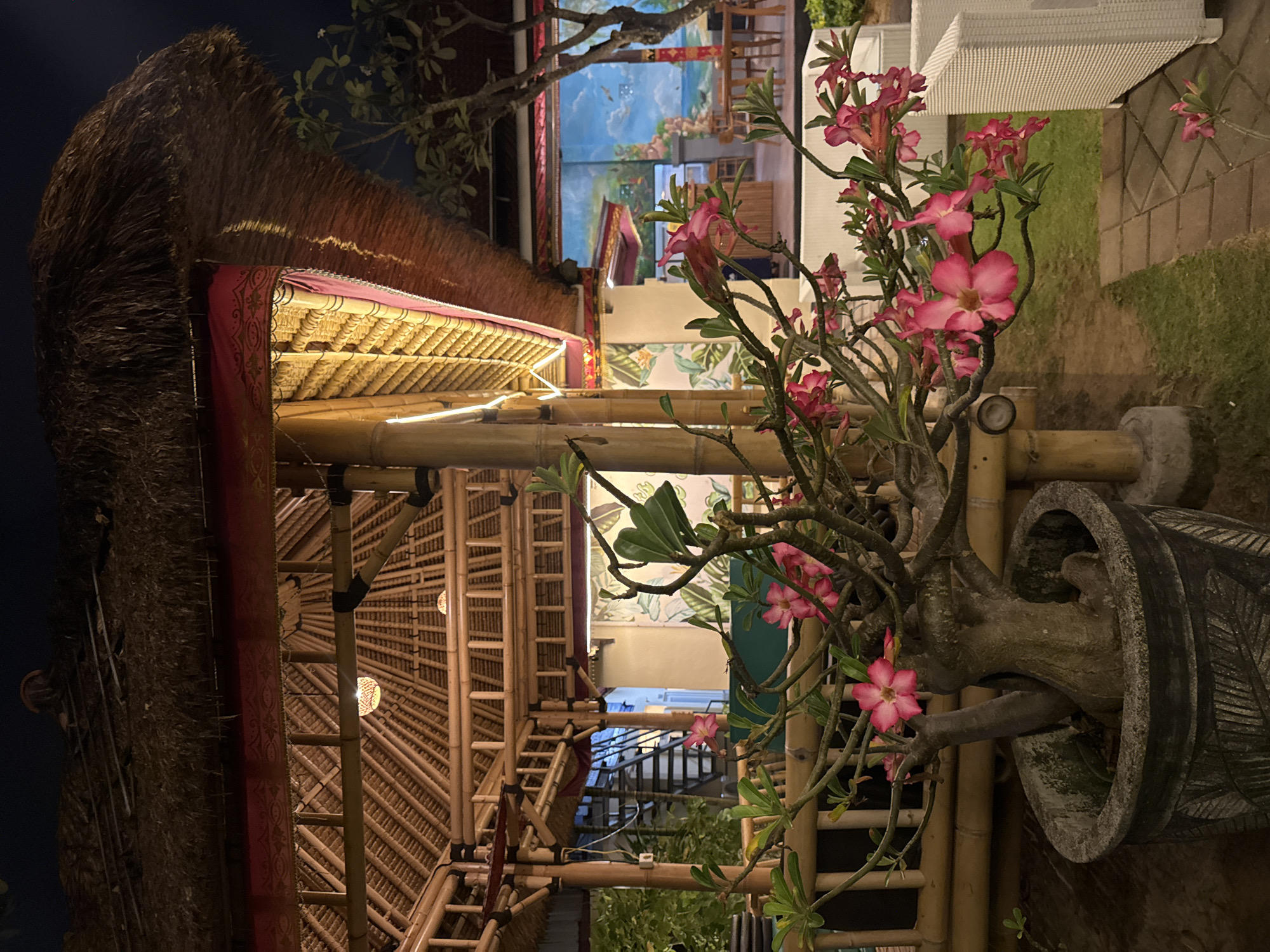 The image depicts an outdoor dining area at night, possibly a restaurant or resort in Kuta Selatan, Indonesia, characterized by Balinese architectural elements. A thatched-roof pavilion with bamboo framing and red decorative trim is prominently featured, illuminated by warm interior lighting. In the foreground, a potted desert rose plant with vibrant pink flowers and thick, gnarled branches is the primary subject. Beyond the plant and pavilion, a mural depicting a seascape with cliffs, islands, and birds adorns a wall, adding a tropical ambiance. White wicker furniture, a stone-tiled pathway, and lush green grass are visible in the background, suggesting a well-maintained outdoor space. There are no people visible in the frame.