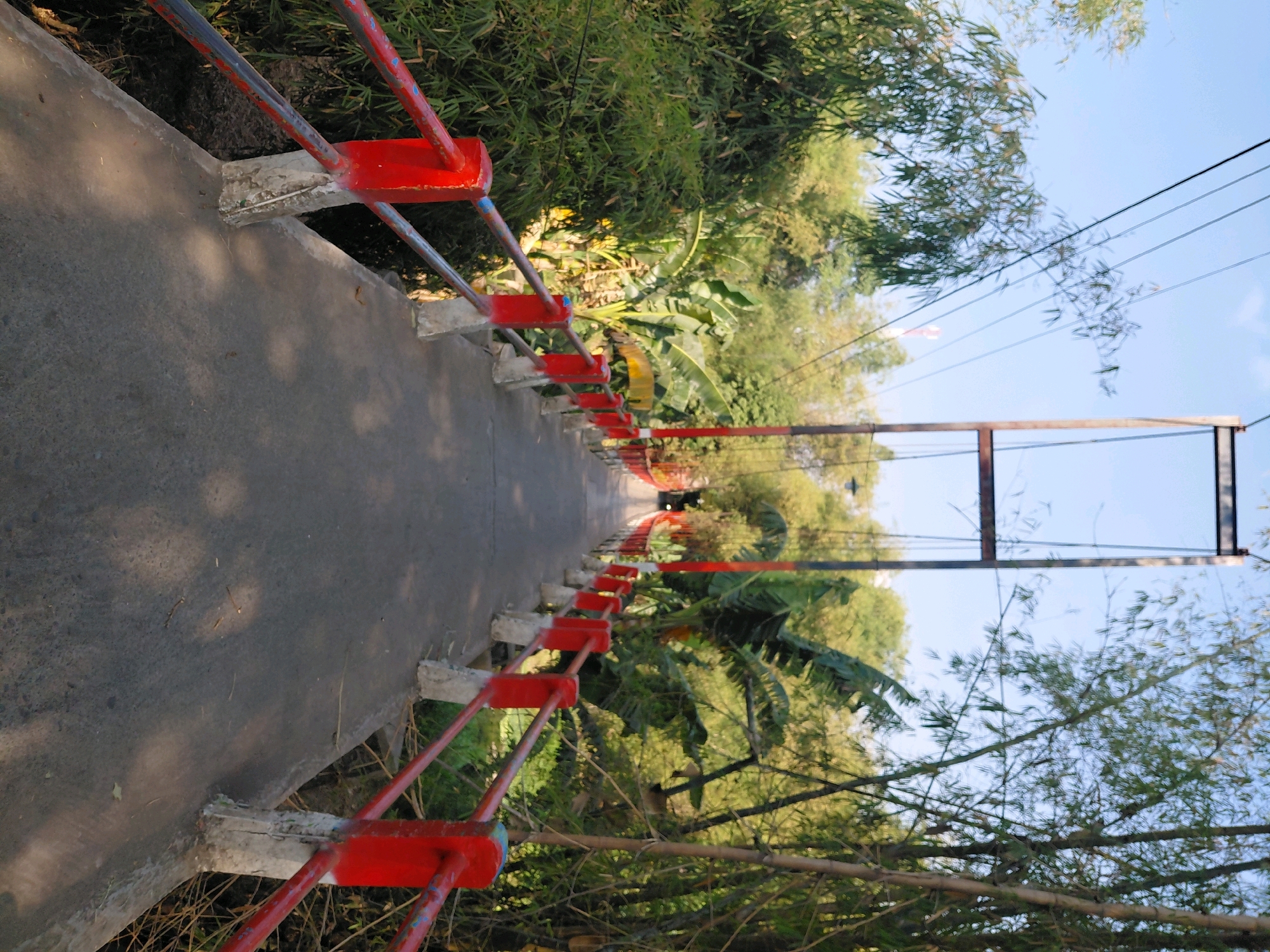 The image depicts a pedestrian bridge made of concrete with red metal railings. The bridge is situated in a lush, green environment with dense foliage, including bamboo and banana trees, characteristic of Alas Tengah, Indonesia. The perspective is from the bridge itself, looking forward along its length. Sunlight casts shadows on the concrete pathway, indicating a bright, daytime scene. Power lines are visible in the upper right portion of the image, suspended above the bridge. The overall impression is one of a rural or semi-rural setting within Alas Tengah.